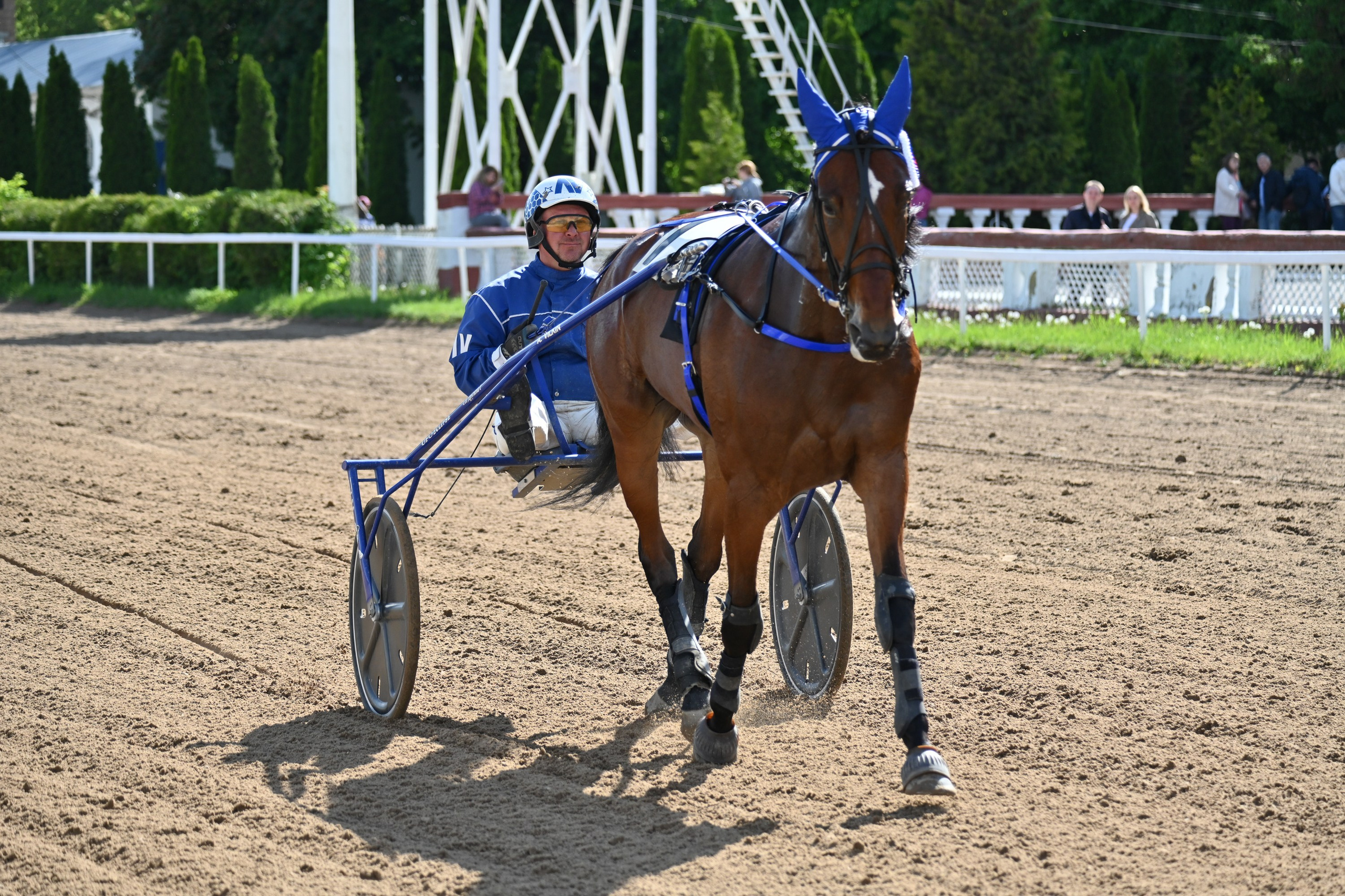 Московский ипподром. Fotolux