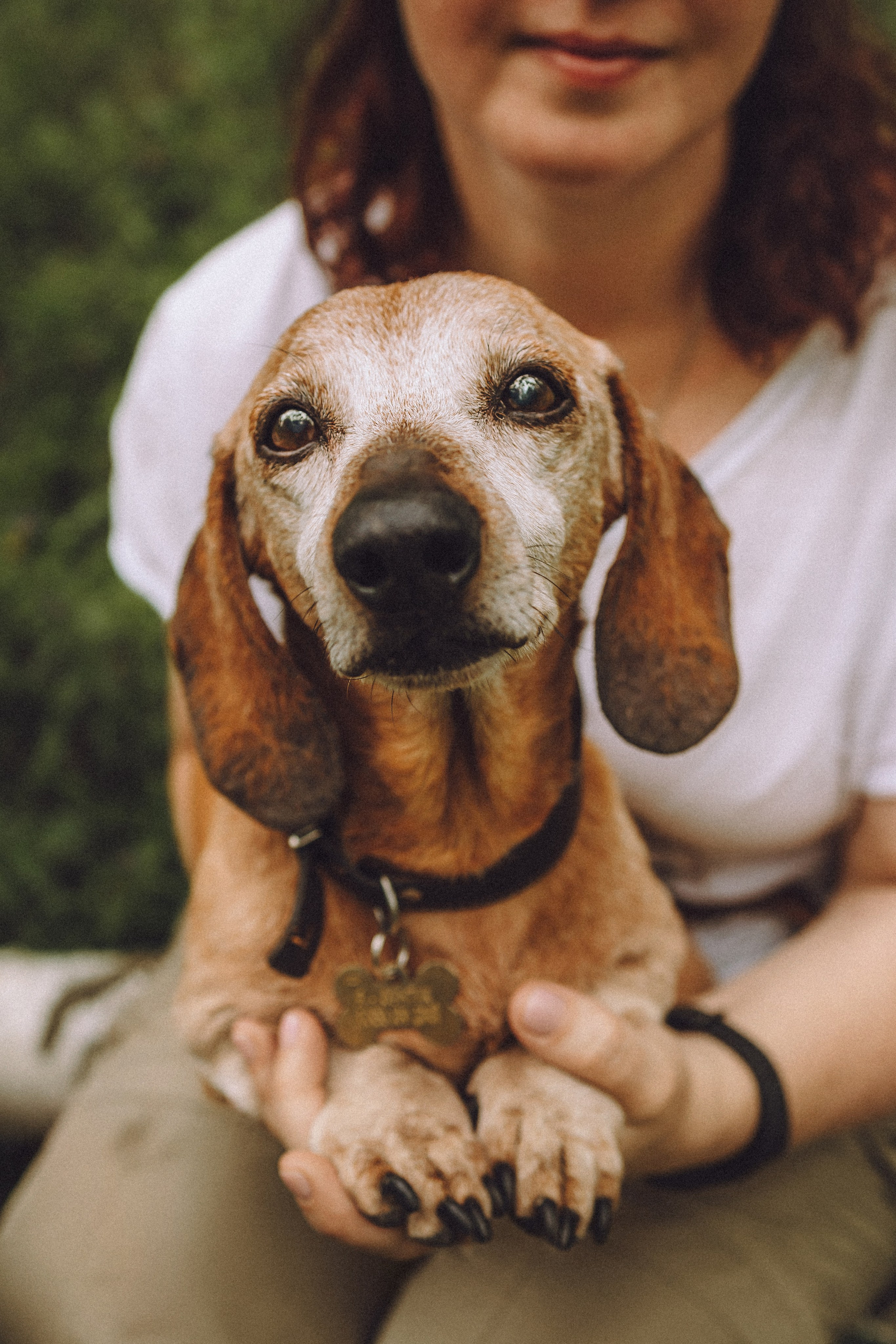 Груша, Данни, Фунтик и их семья