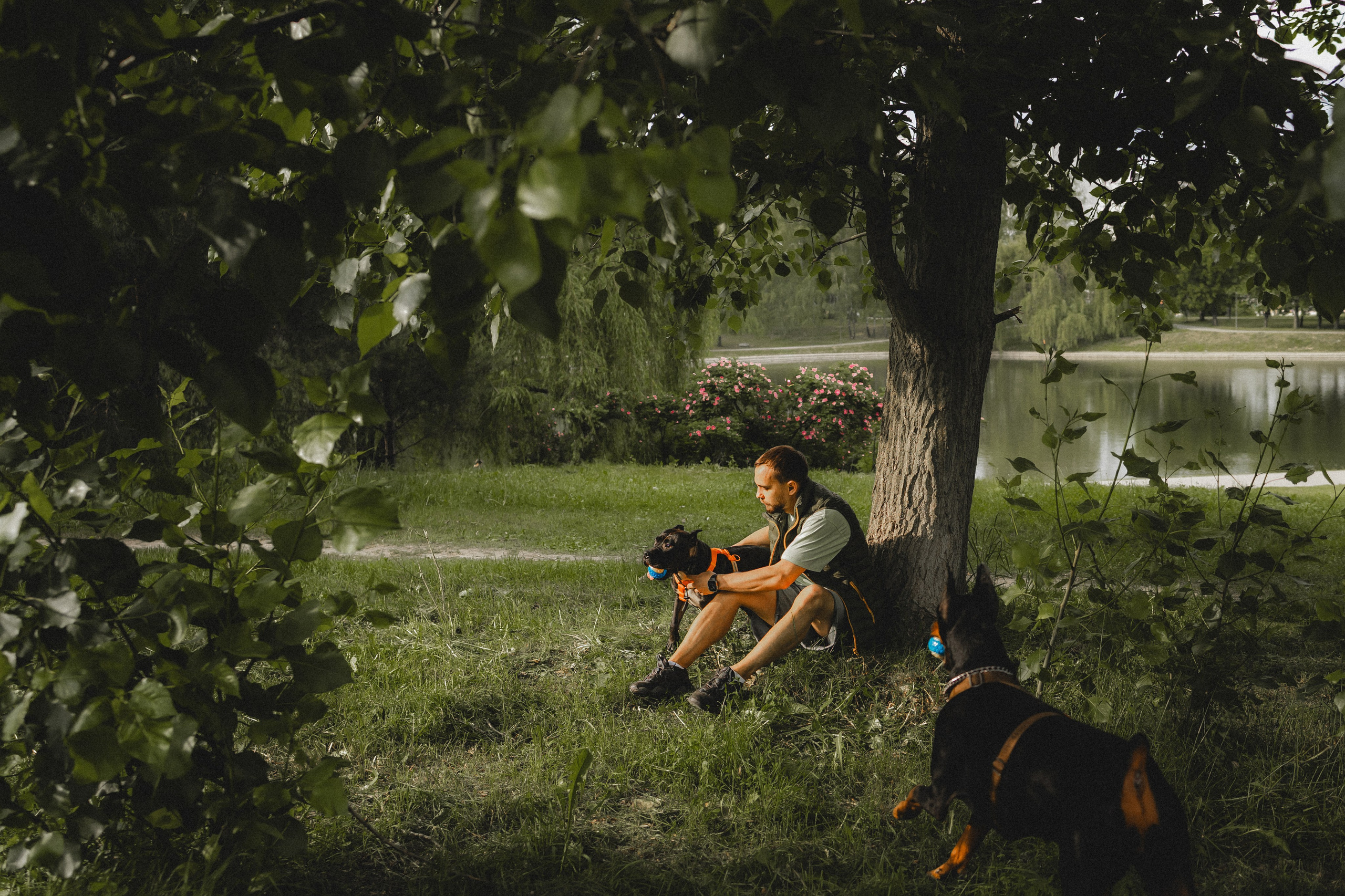 Паша, Хайди и Тея