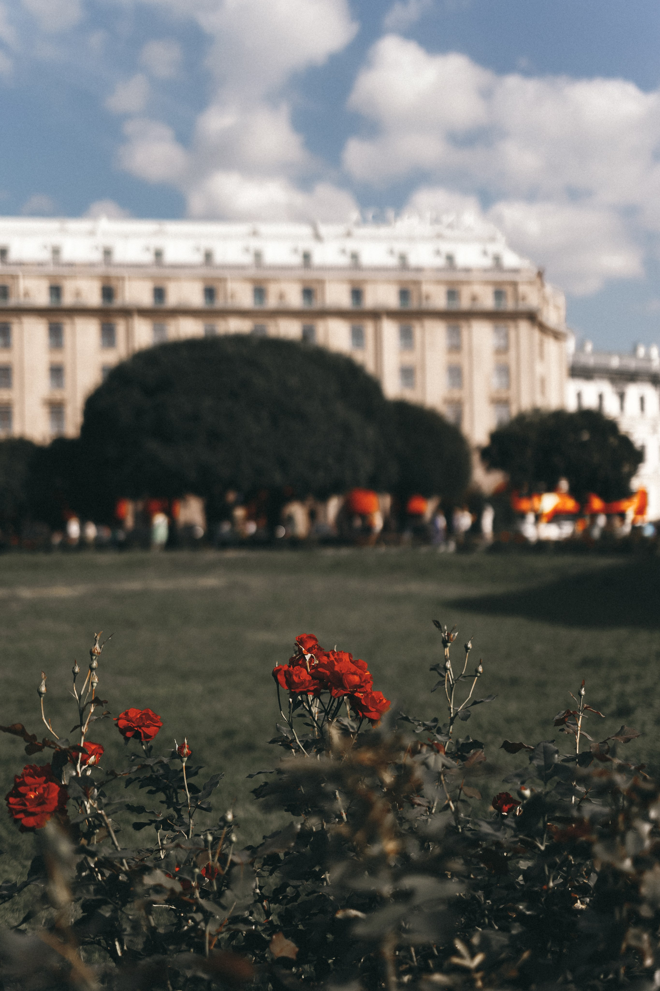 Street photo. Photographer in Turkey — Dari N