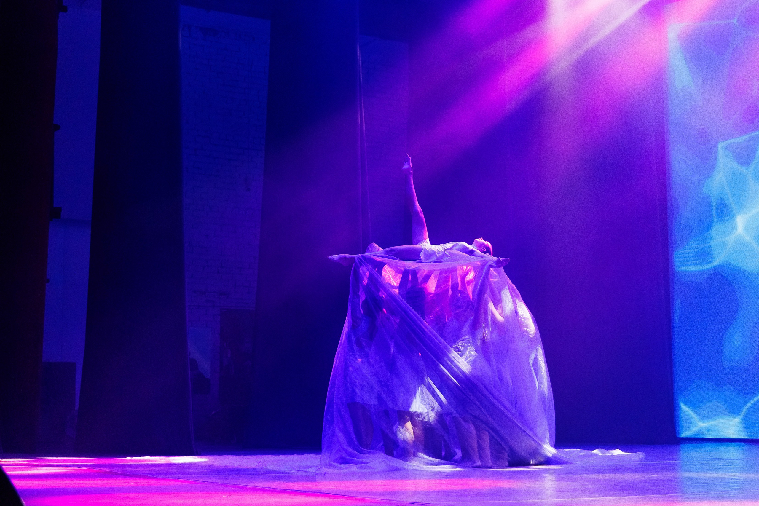 Мультикидс. Отчетный концерт. Фотограф Шейдаев Эмин г. Волгоград