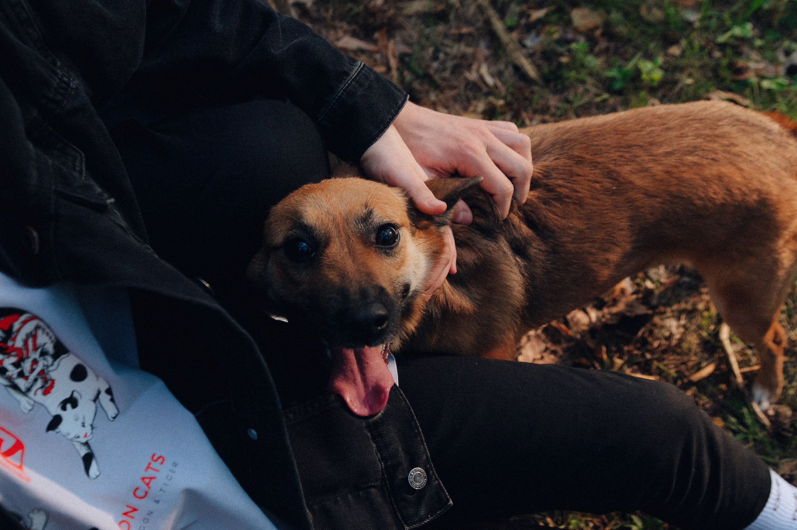 Влад и Алёна. Детский и семейный фотограф Катерина Мишина