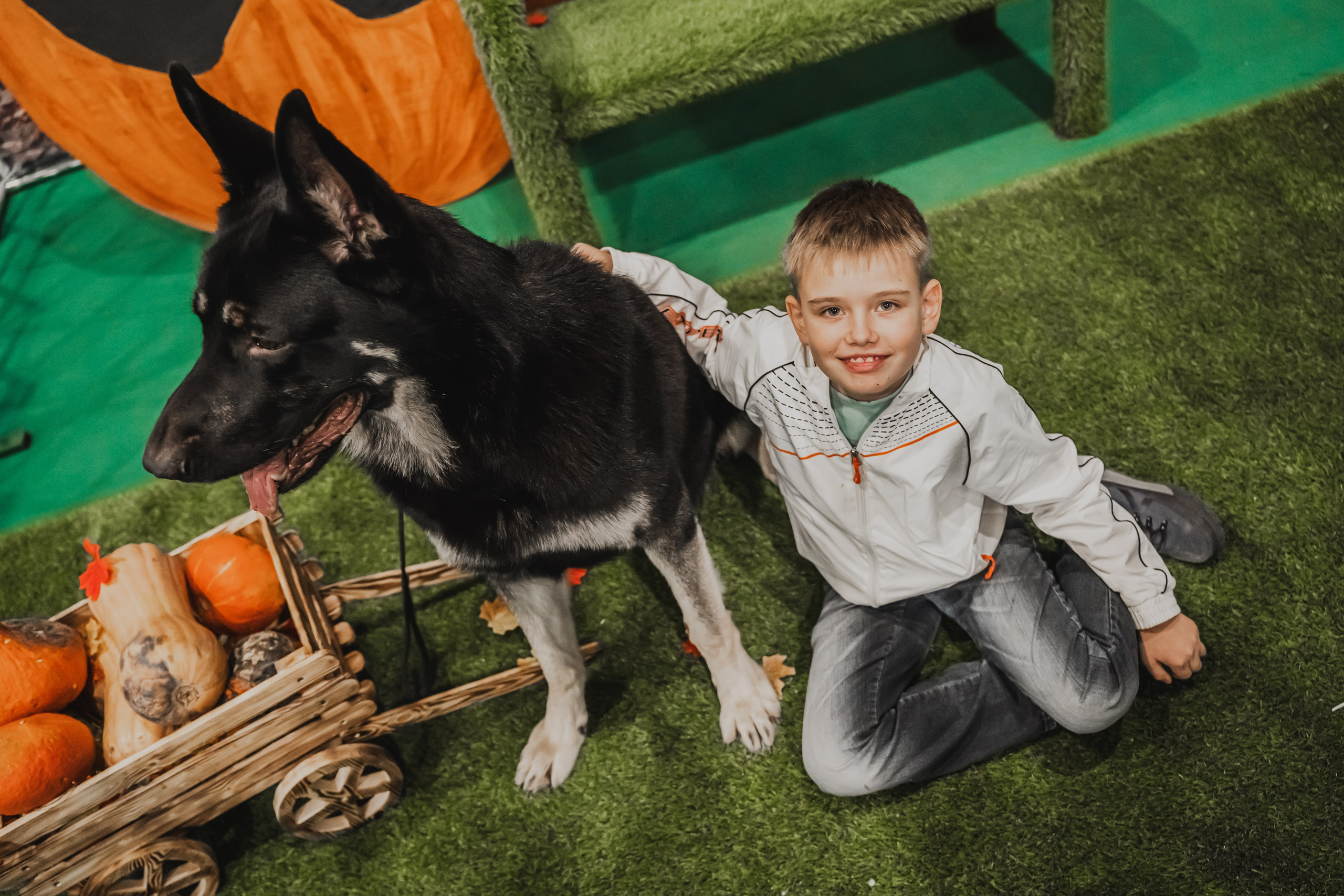 Международная выставка собак всех пород. Репортажный фотограф Анастасия Рубцова