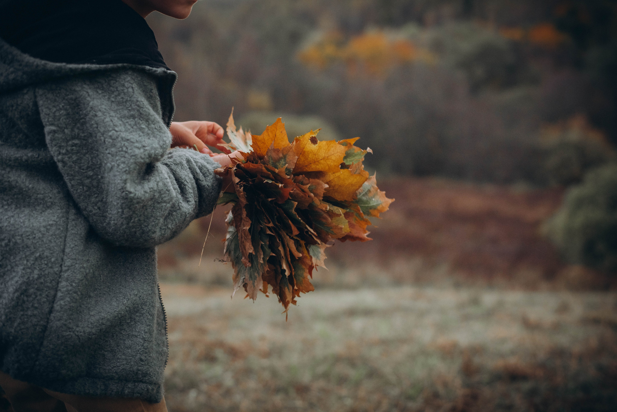 Осень. Леся Власова. Семейный Lifestyle фотограф в Москве