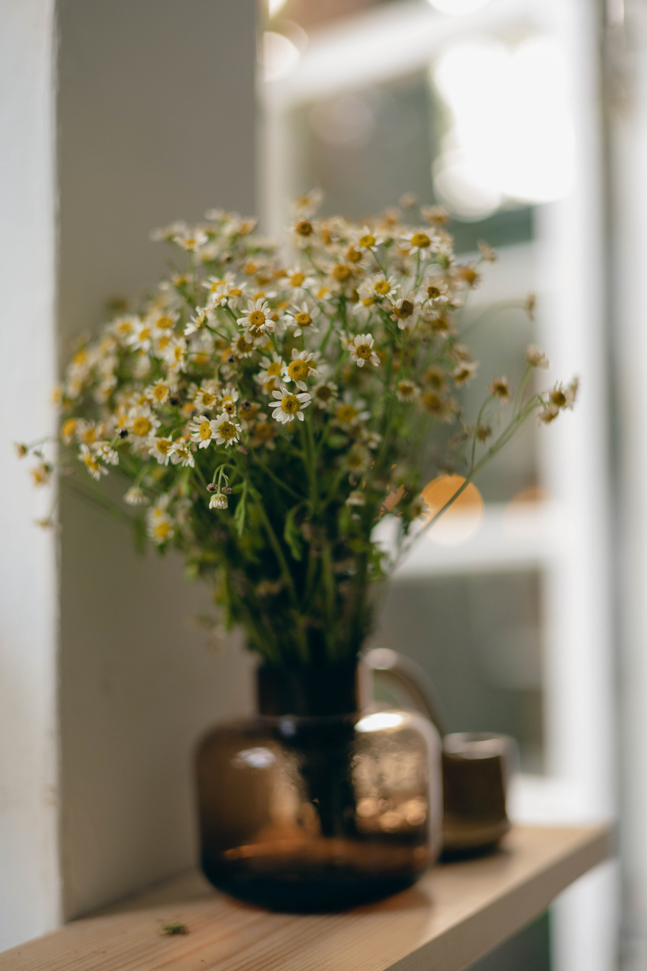 FAMILY.PREGNANCY. Фотограф Москва
