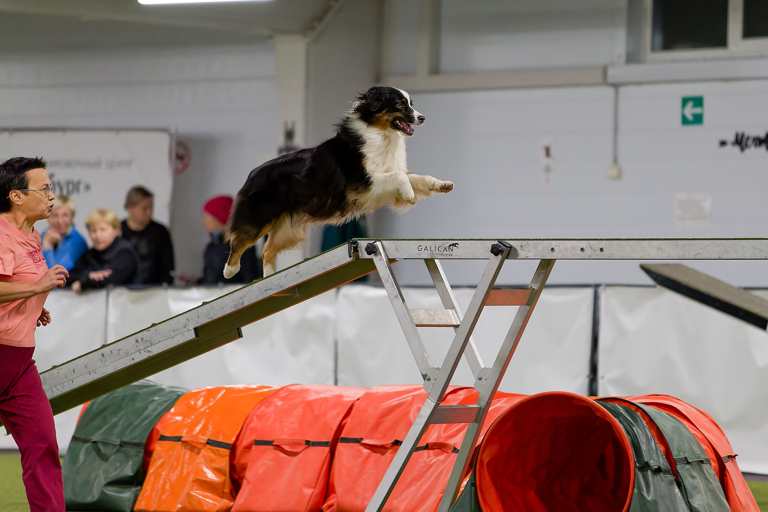 Кубок Пёсбурга 2025. Irenephoto.ru