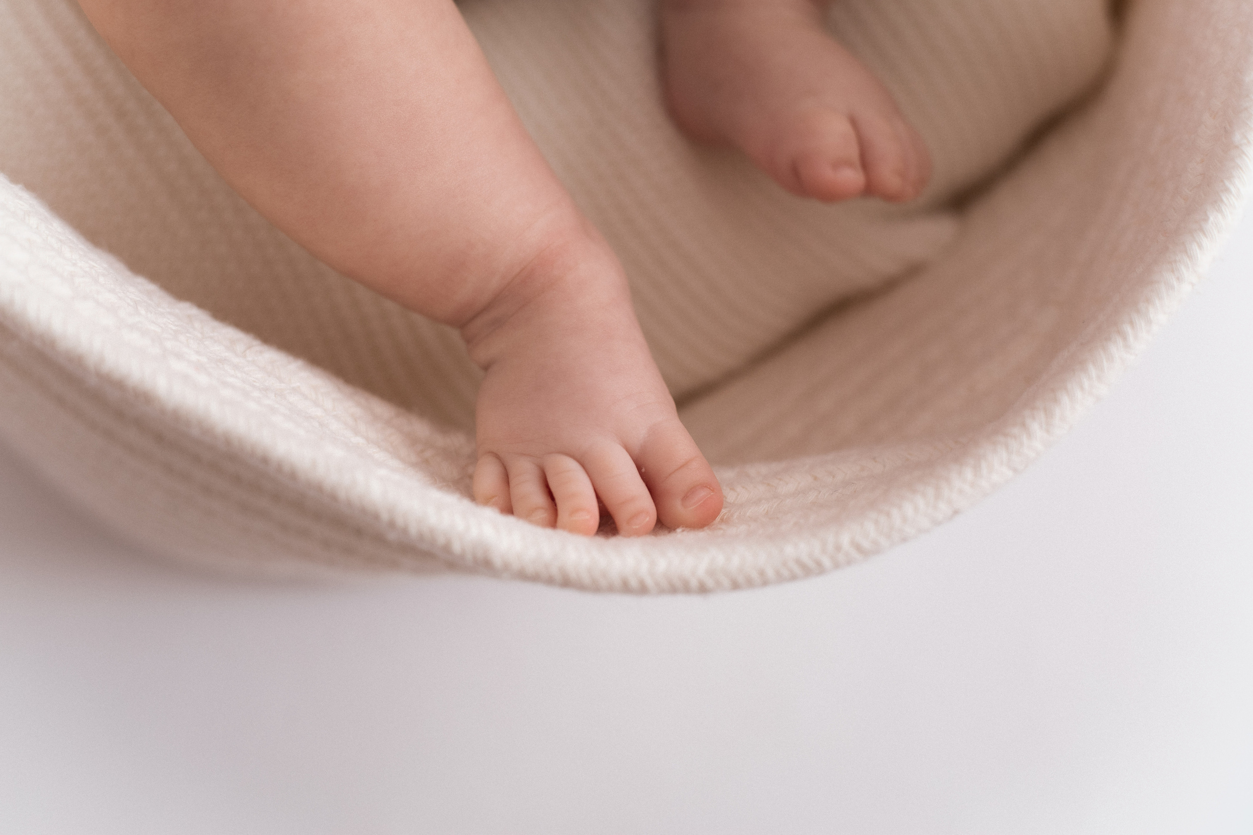 Софи. Фотограф|Волгоград|Фролово