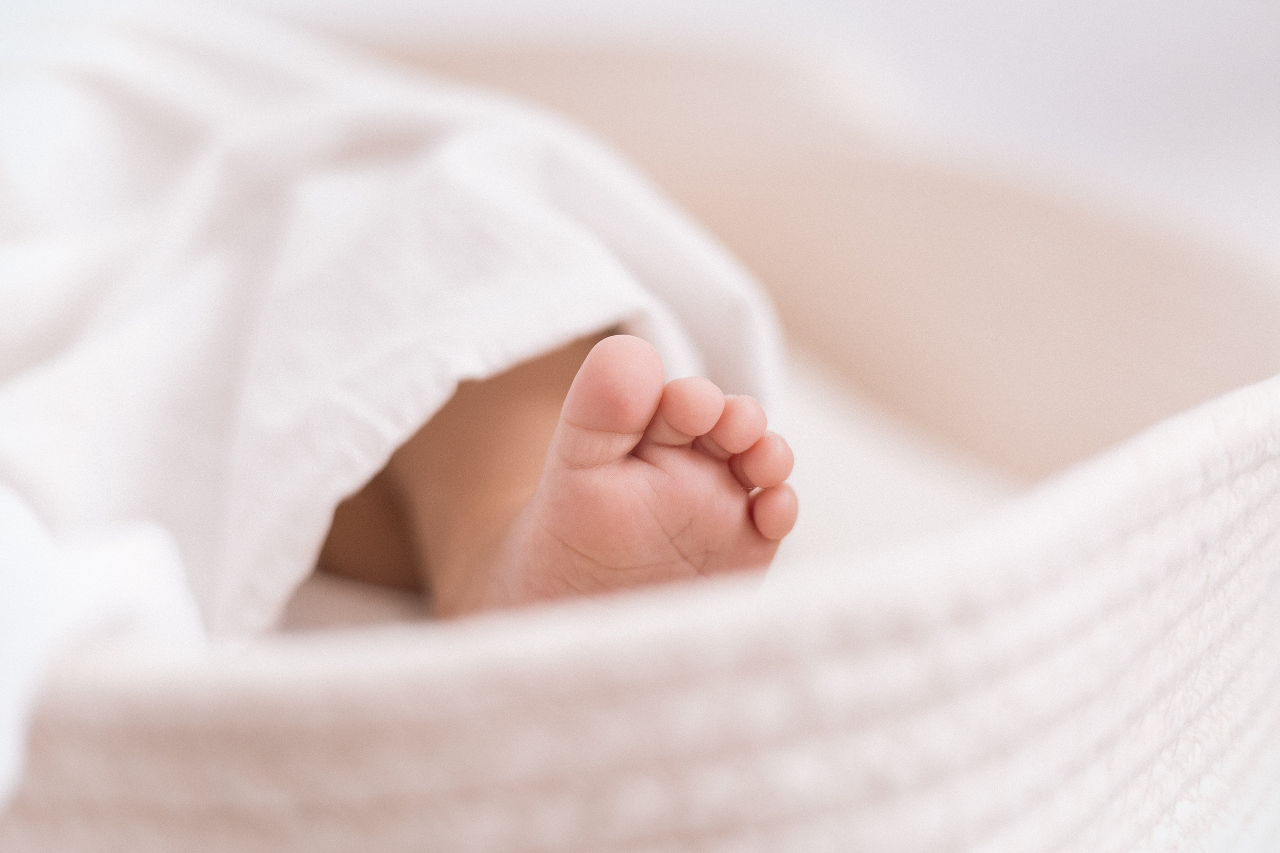 Илюша. Фотограф|Волгоград|Фролово