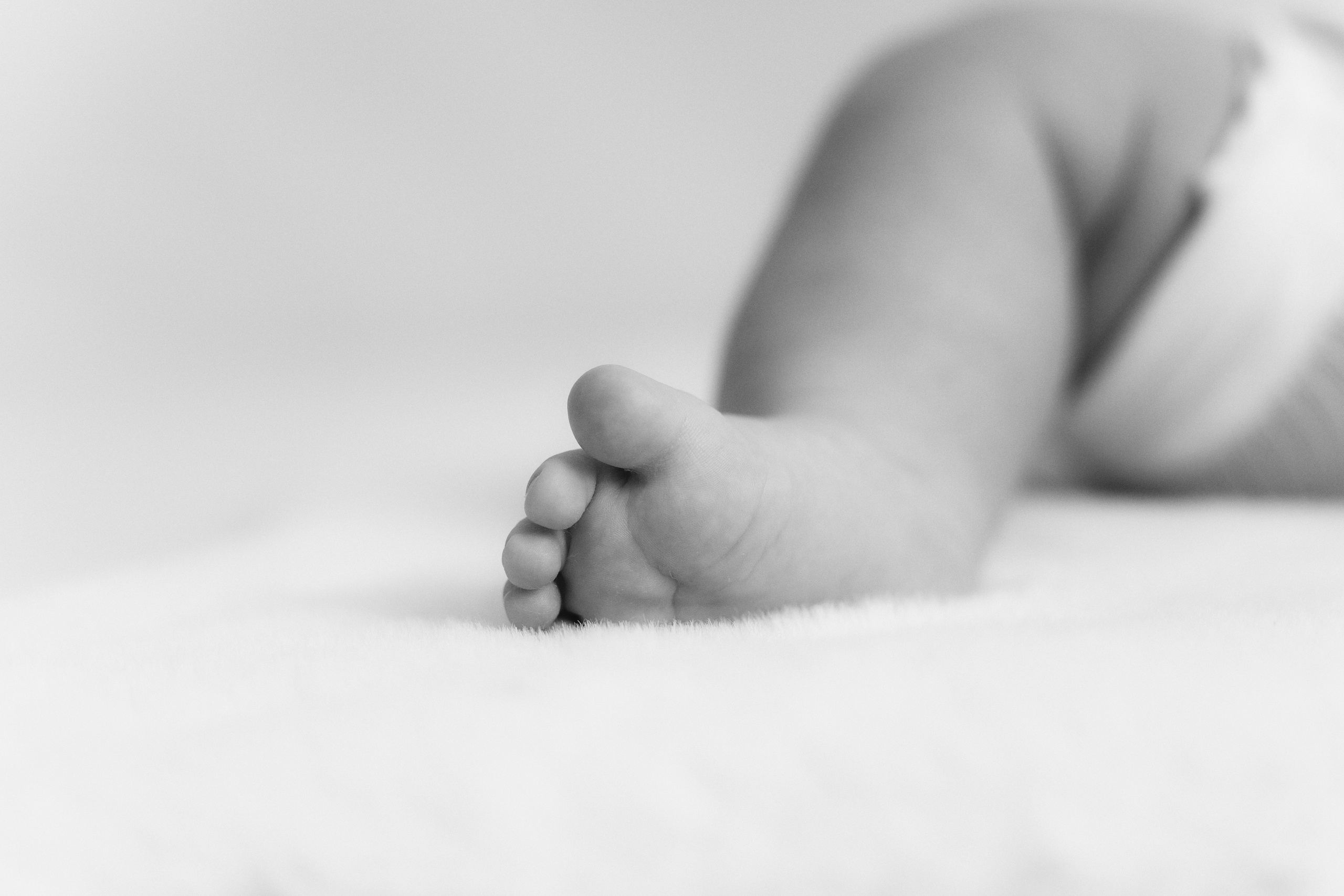 Софи. Фотограф|Волгоград|Фролово