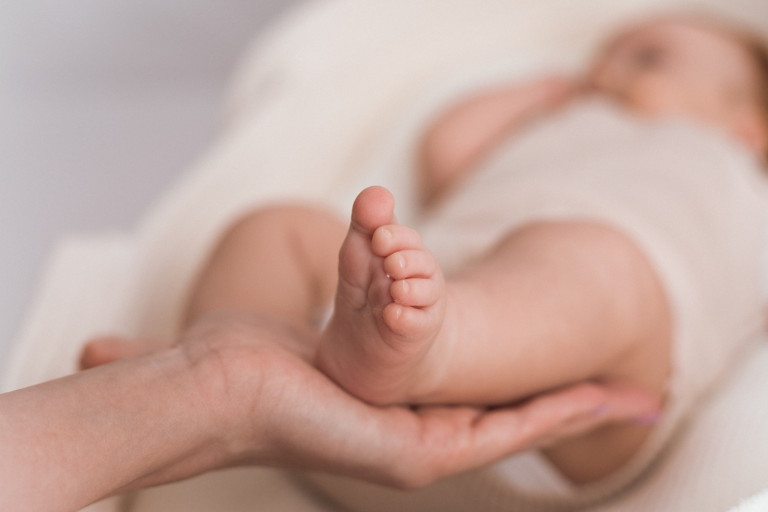 Софи. Фотограф|Волгоград|Фролово