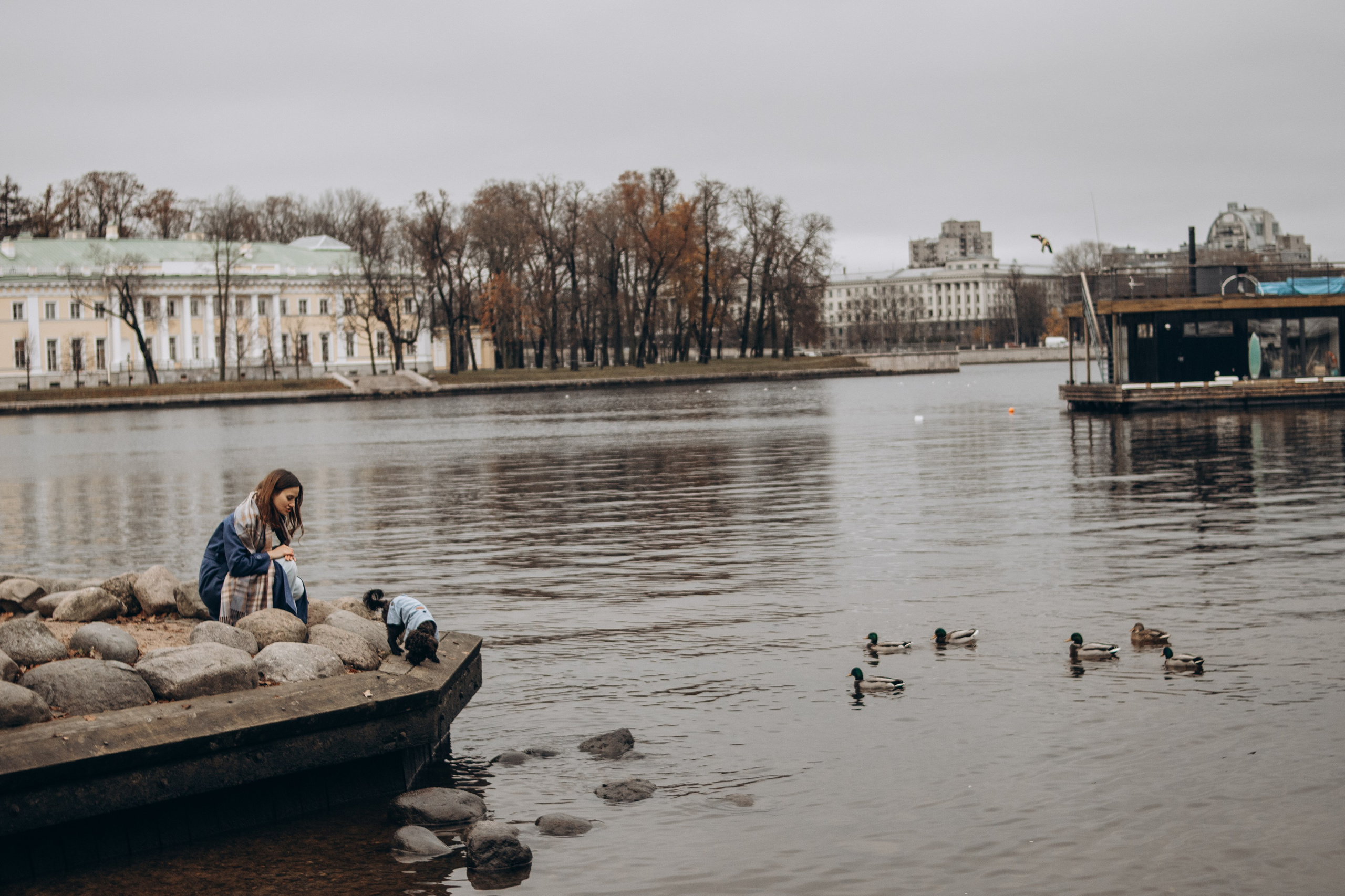 Анна и Йоши. Фотограф-анималист в Санкт-Петербурге