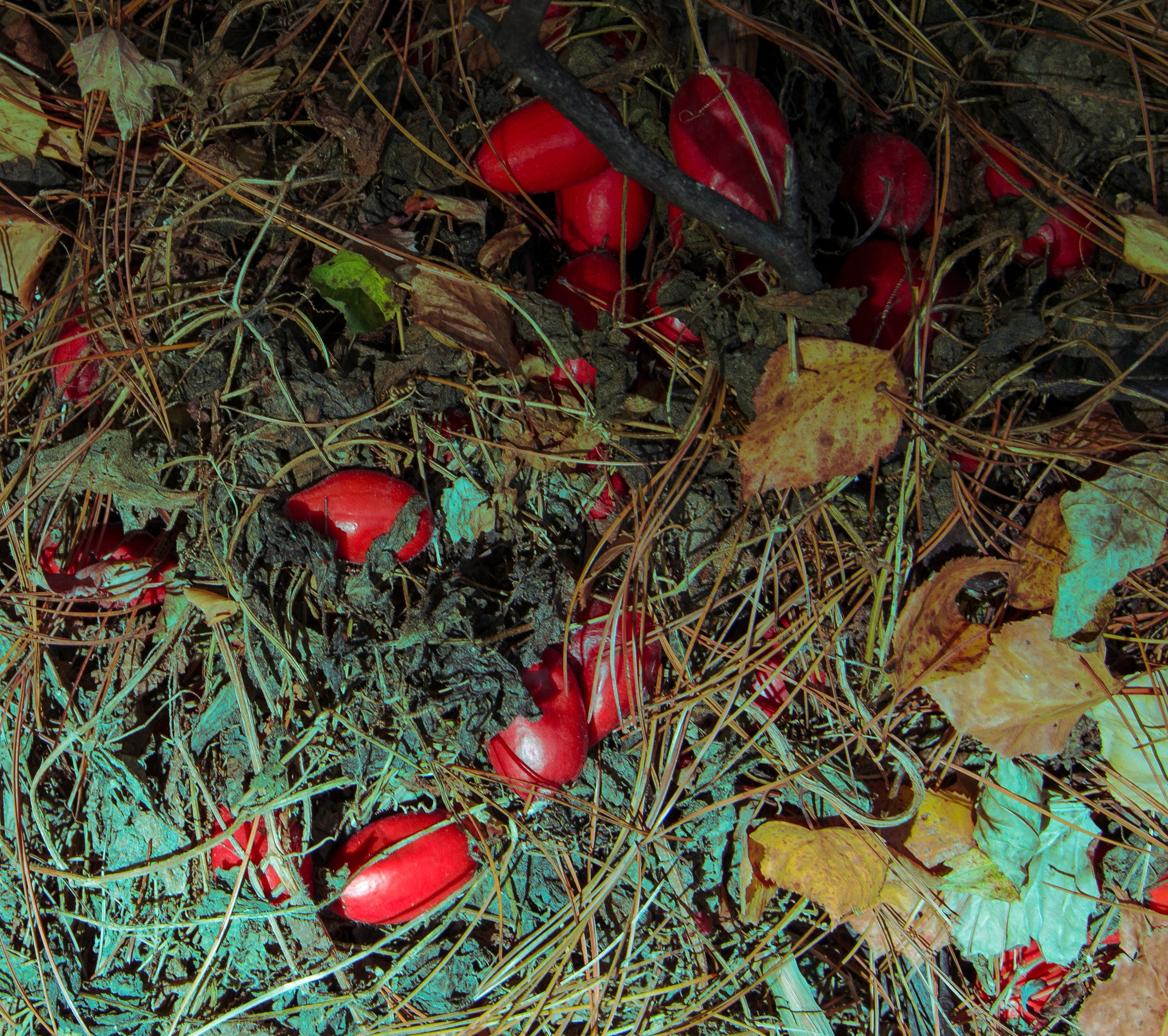 art, artist, photo, photography, photographer, contemporary art, talent, picture, pop art, gallery, фотограф, фотография, творчество, художник, рекламная съемка, творческая съемка, современное искусство, соврисск, совриск, современная фотография, творческая фотография, картины, попарт, поп арт, фото проекты, photo project, bag, сумка, cover song, обложка для музыкального альбома, обложка для книги, постер, картина