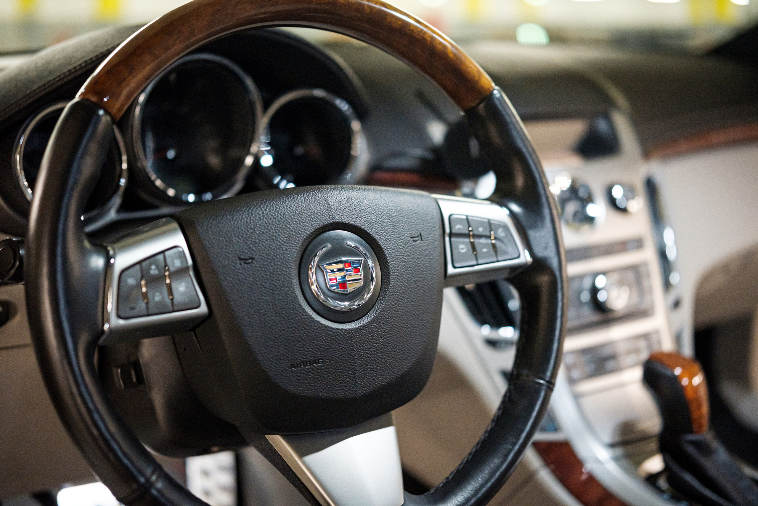 Кэдди. Алексей Никифоров фотограф Москва, Химки