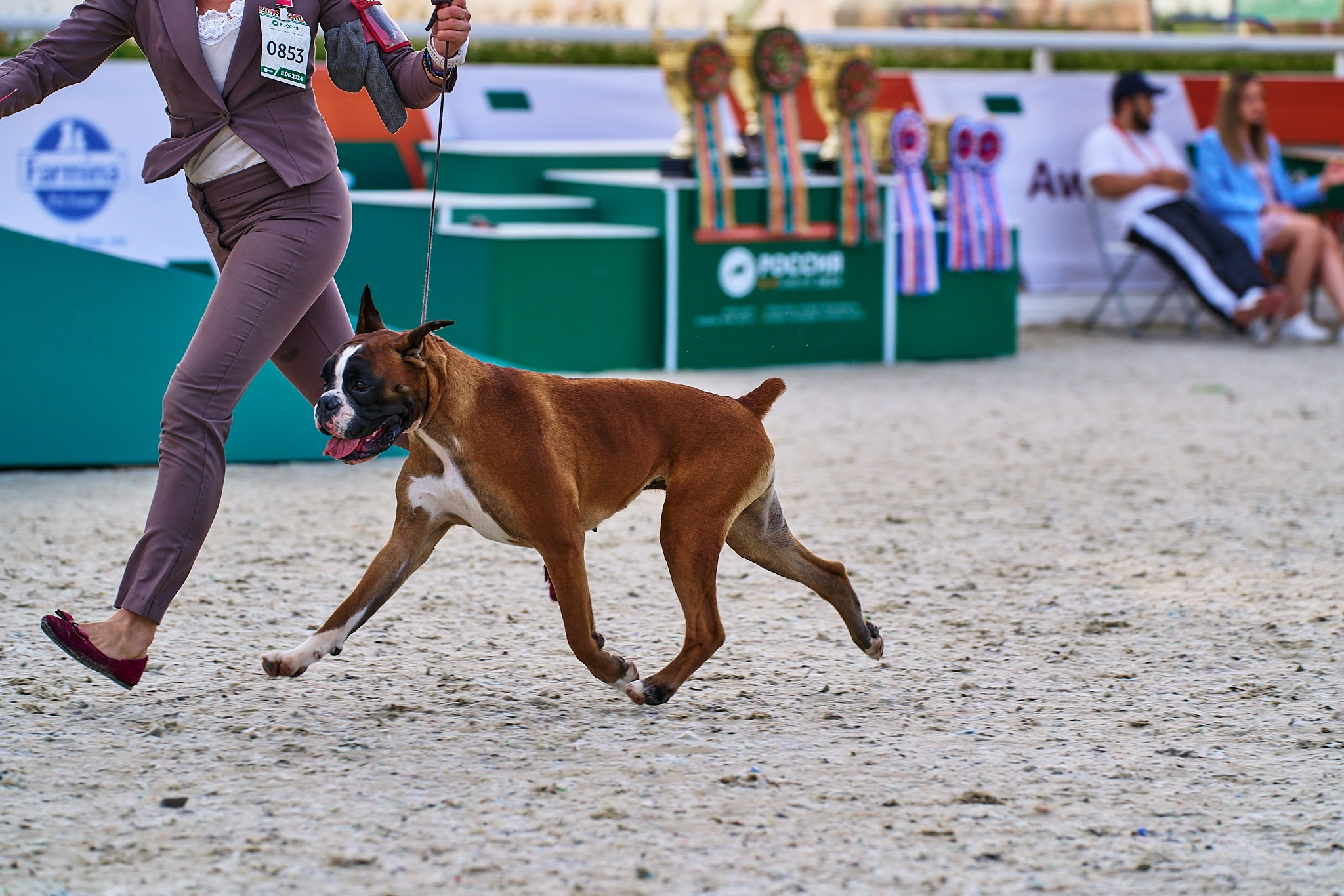 08.06.2024 «РОССИЯ. КУБОК РКФ 2024»