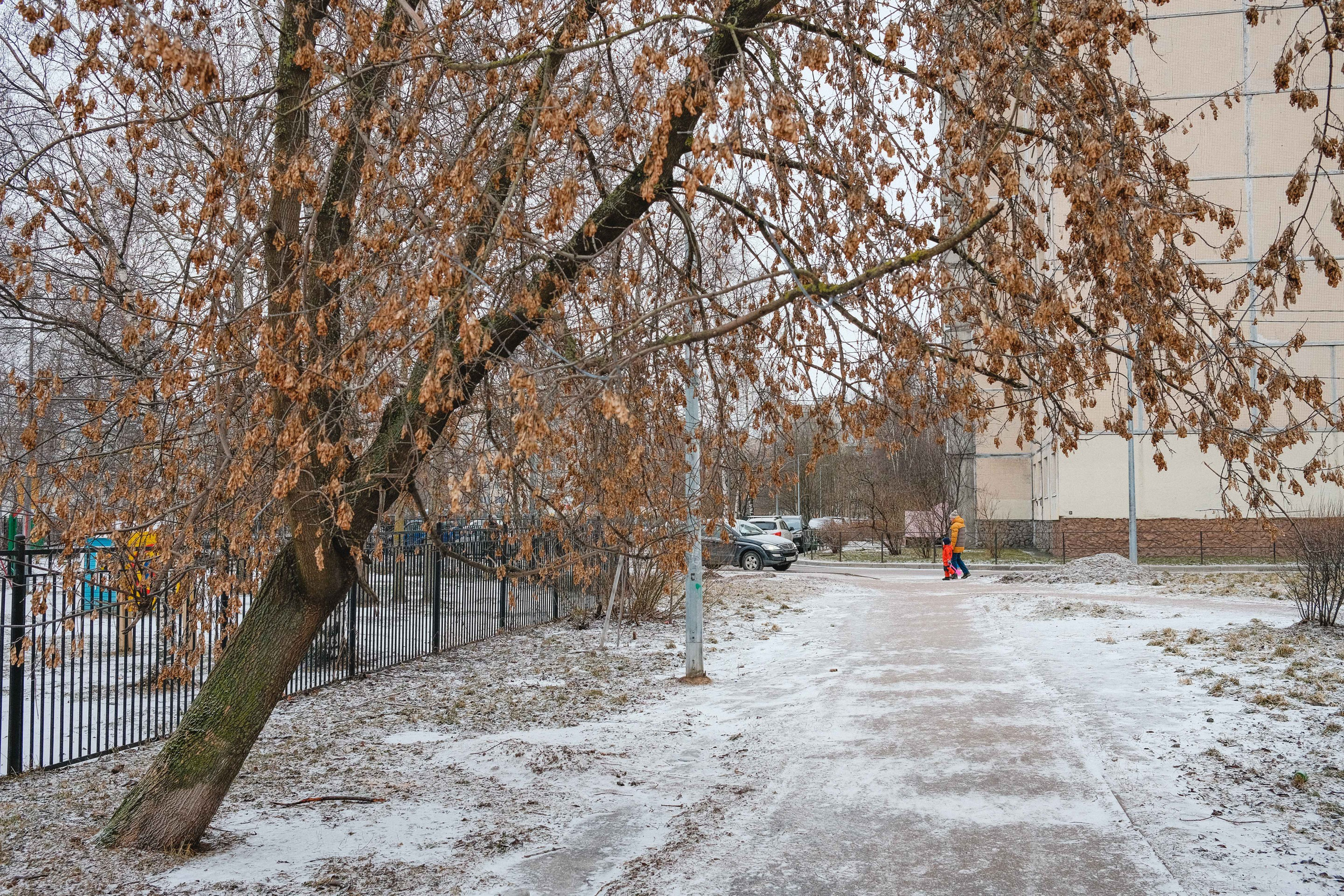 2023.01. Фотограф Алексей Алексеев