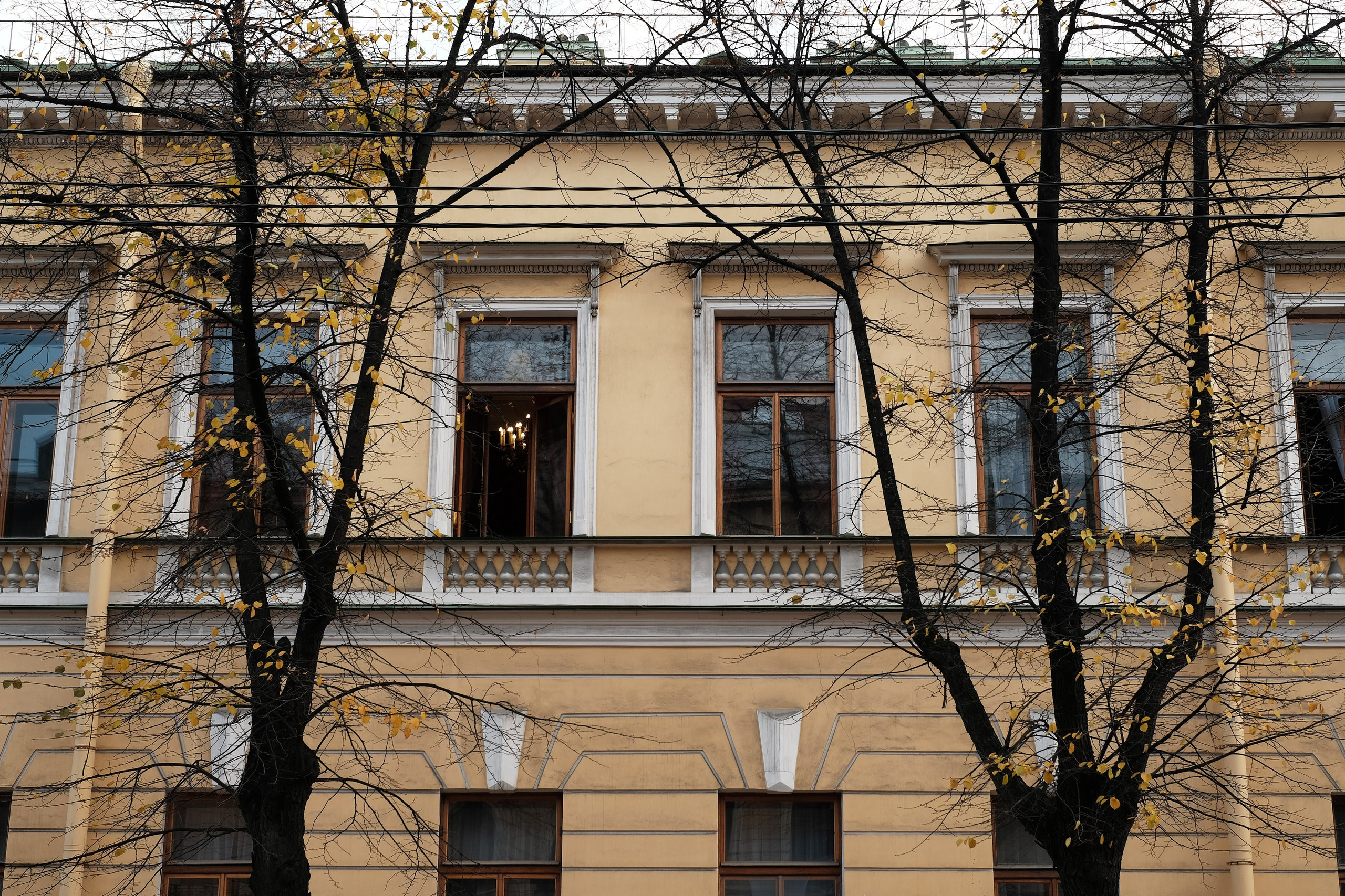 2021.10. Фотограф Алексей Алексеев