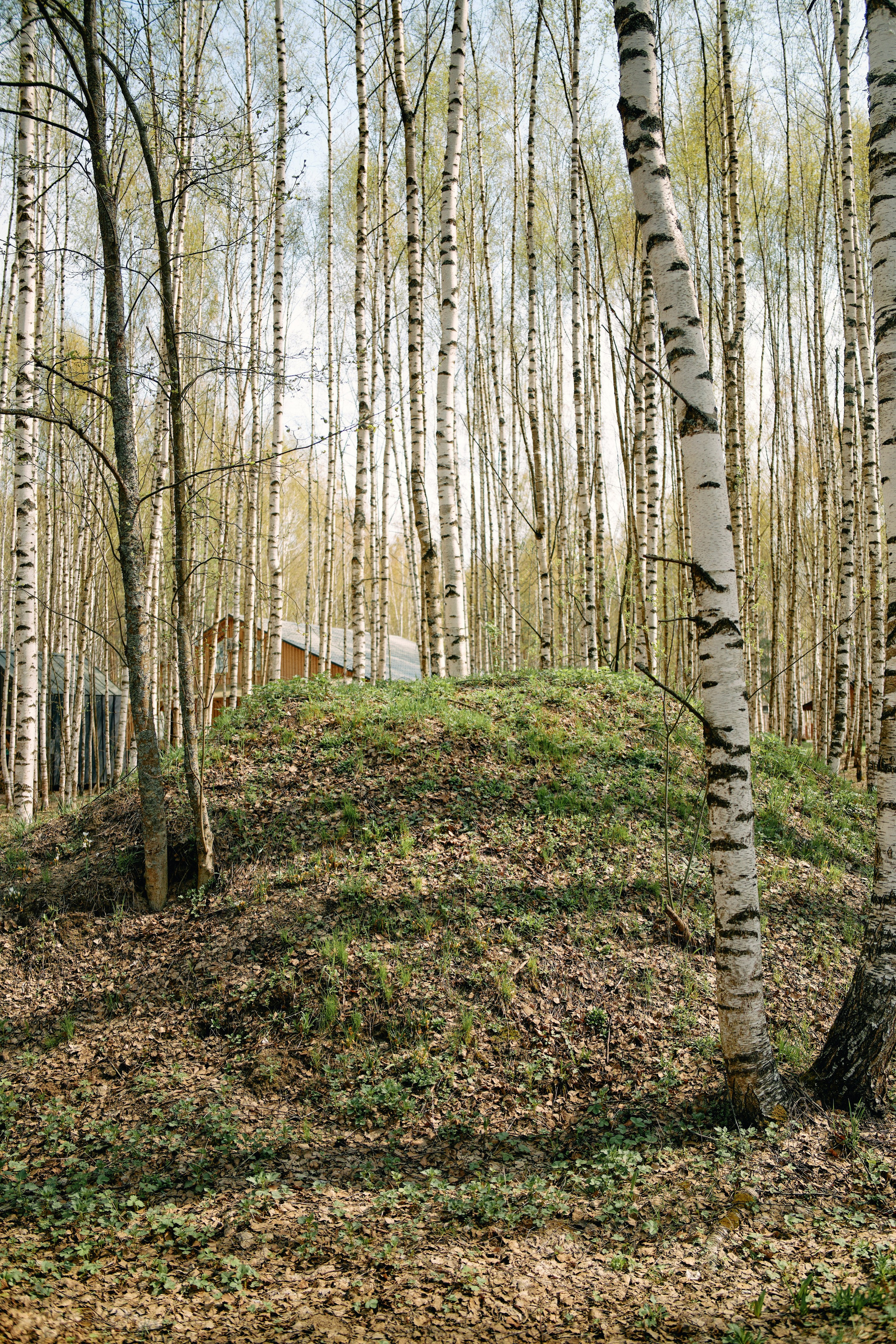 Бутик-отель Поле летом. Профессиональный Фотограф во Владимире, в Москве и в Суздале — Полина Романычева