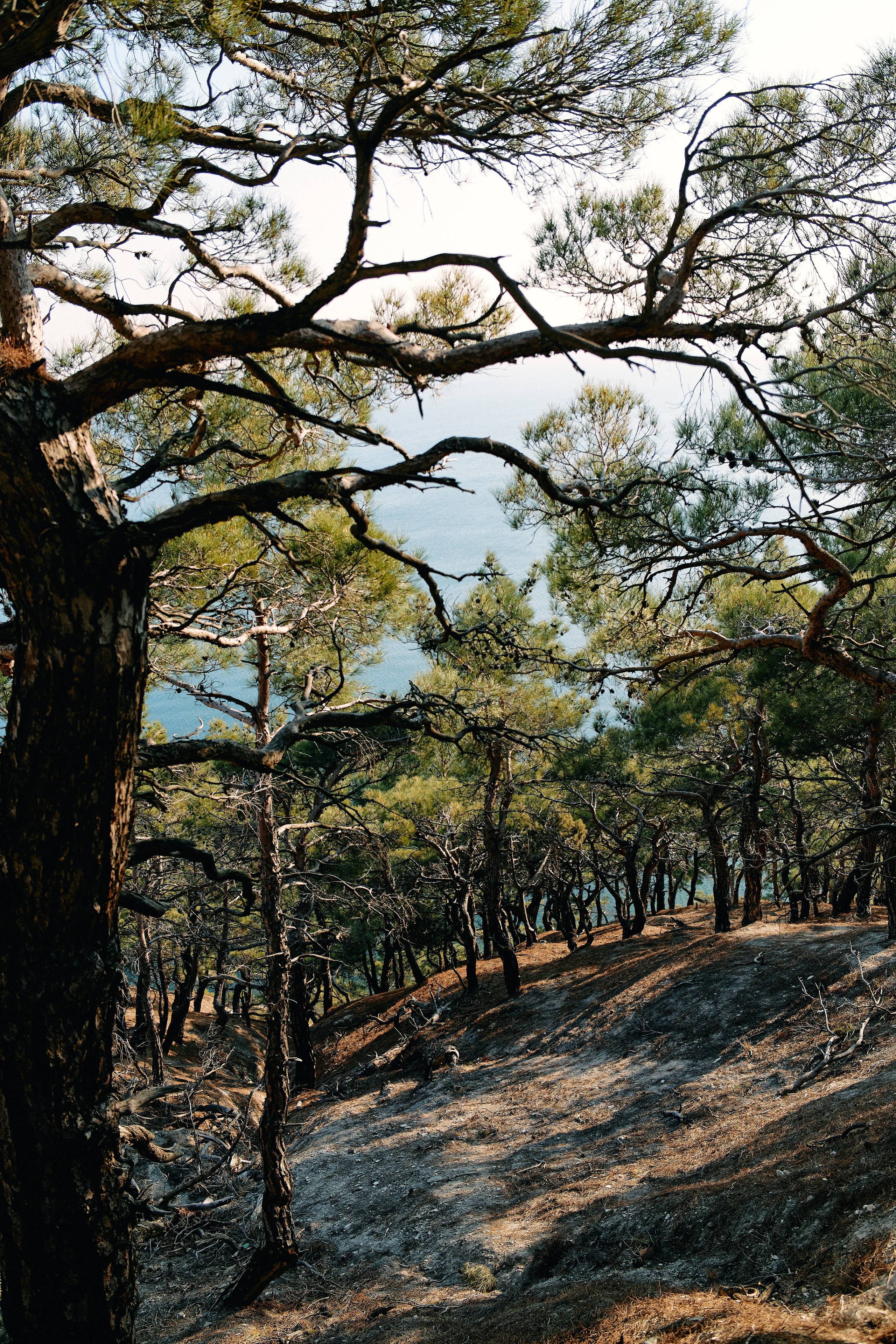 Юг России. Профессиональный Фотограф во Владимире, в Москве и в Суздале — Полина Романычева