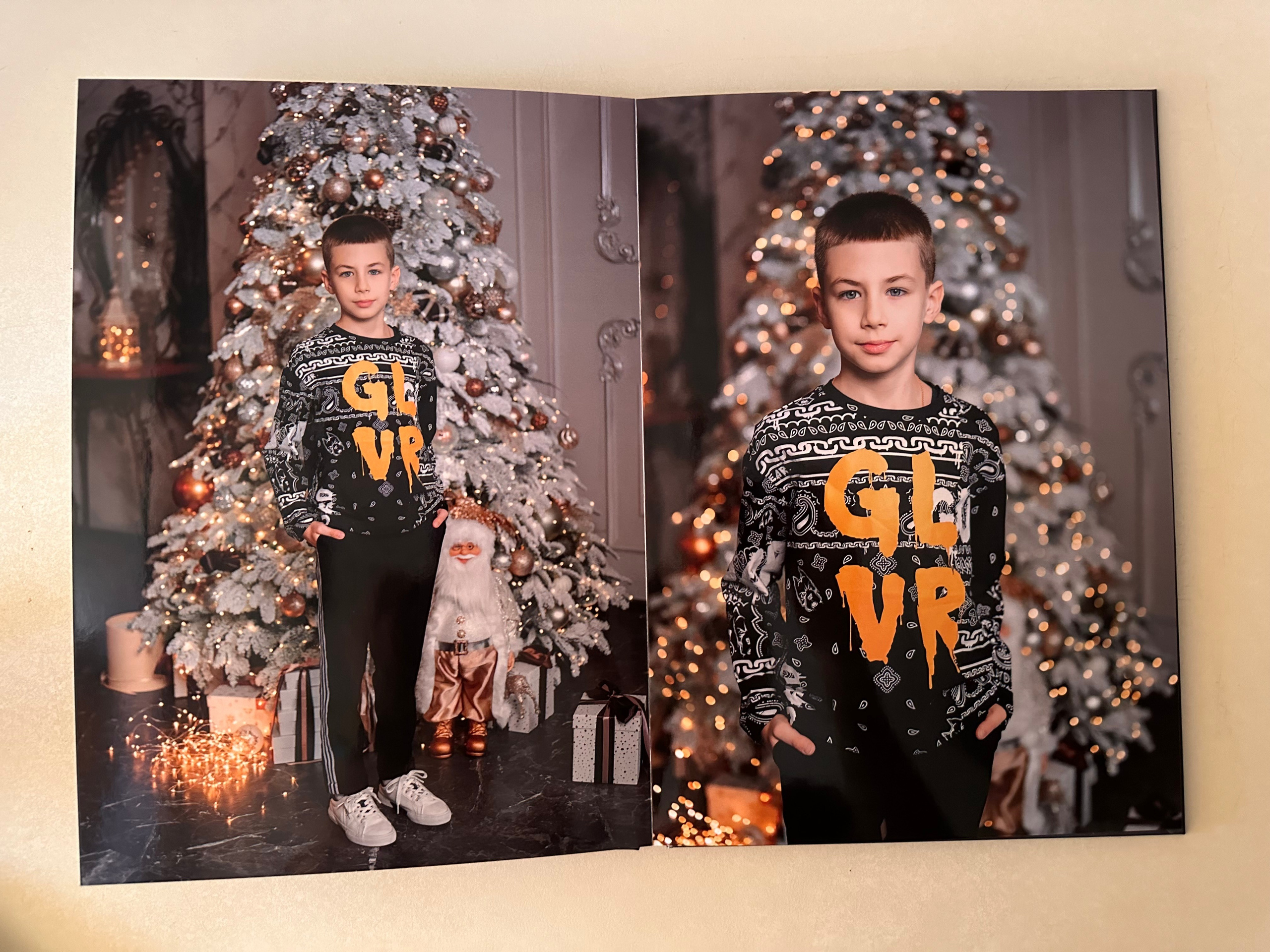 Книга семейная новогодняя 21*30. Фотограф г. Пенза — Светлана Зойкина