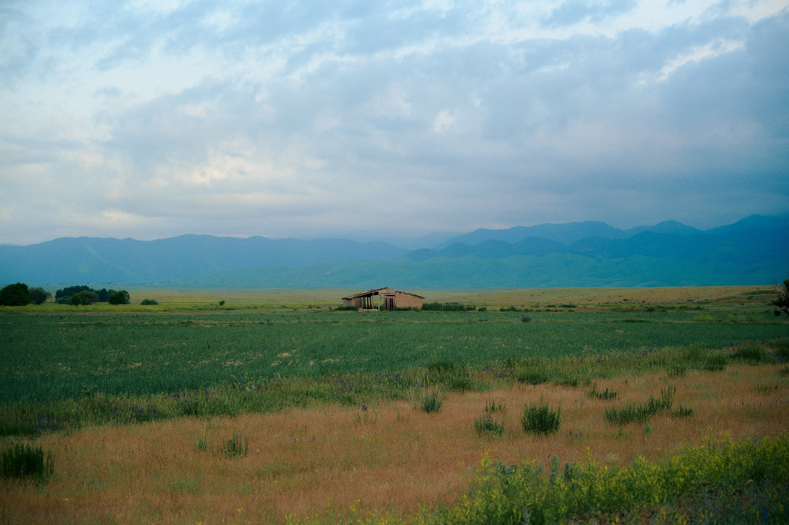 2025 — путешествия на цифру. Photographer in Almaty — Alexey Konkov | Reportage, Weddings, Portraits, Love Story
