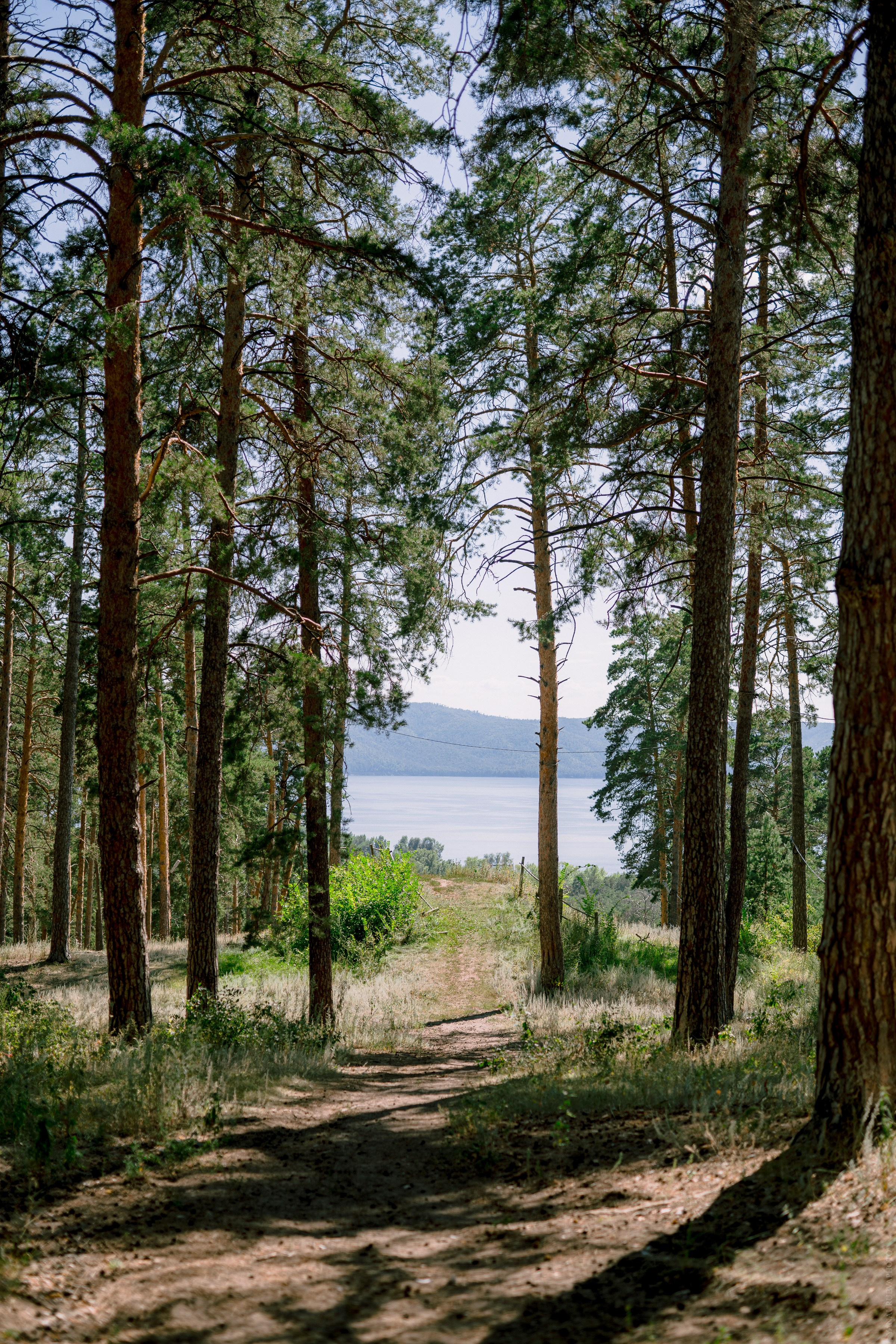 Свадебная фотосессия Самара Тольятти Москва. Свадебный и контент- фотограф в Тольятти, Самаре, Москве Яна Уруева