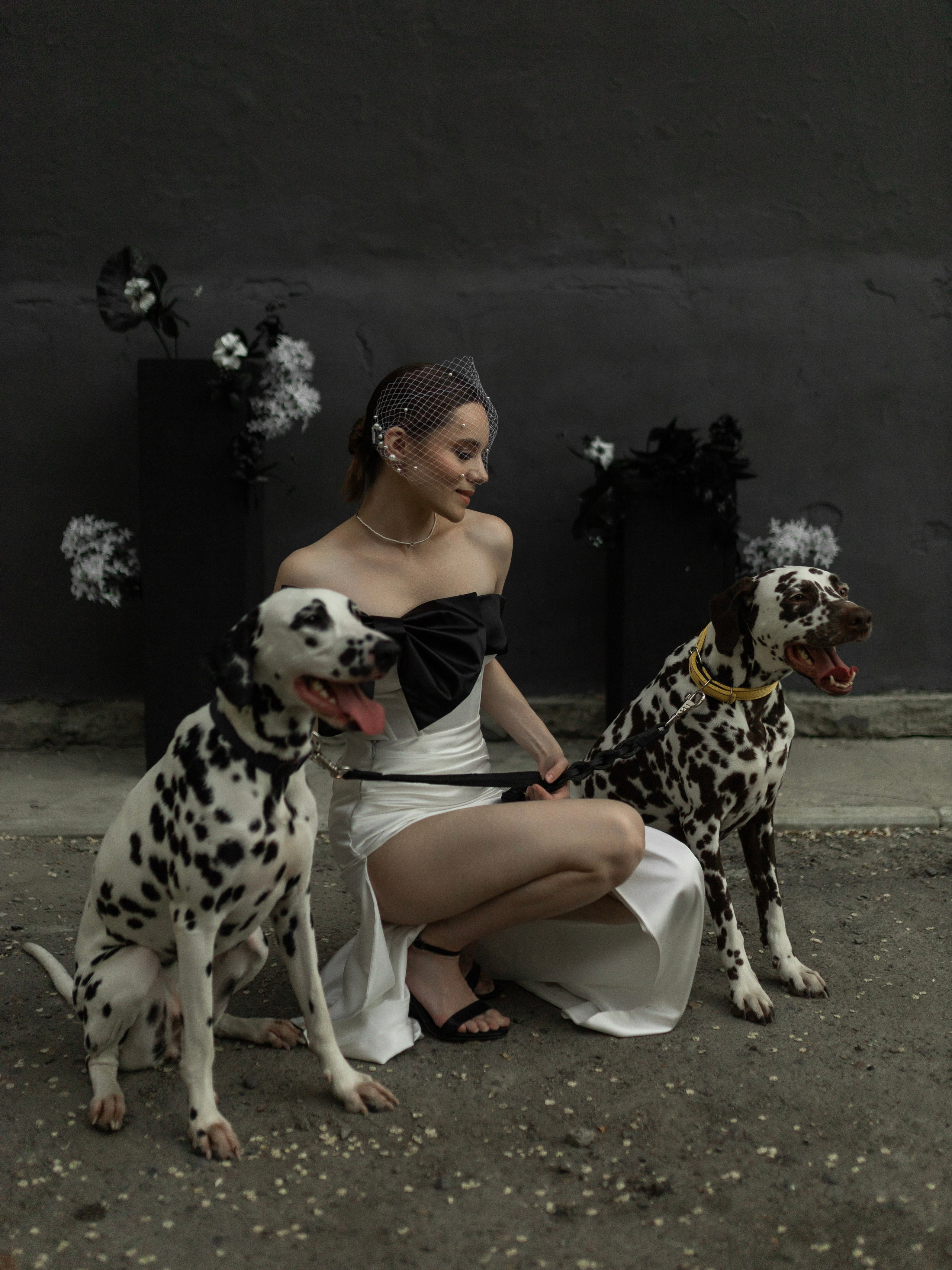 Max & Daria. Свадебный фотограф в Барнауле Юлия Гербер