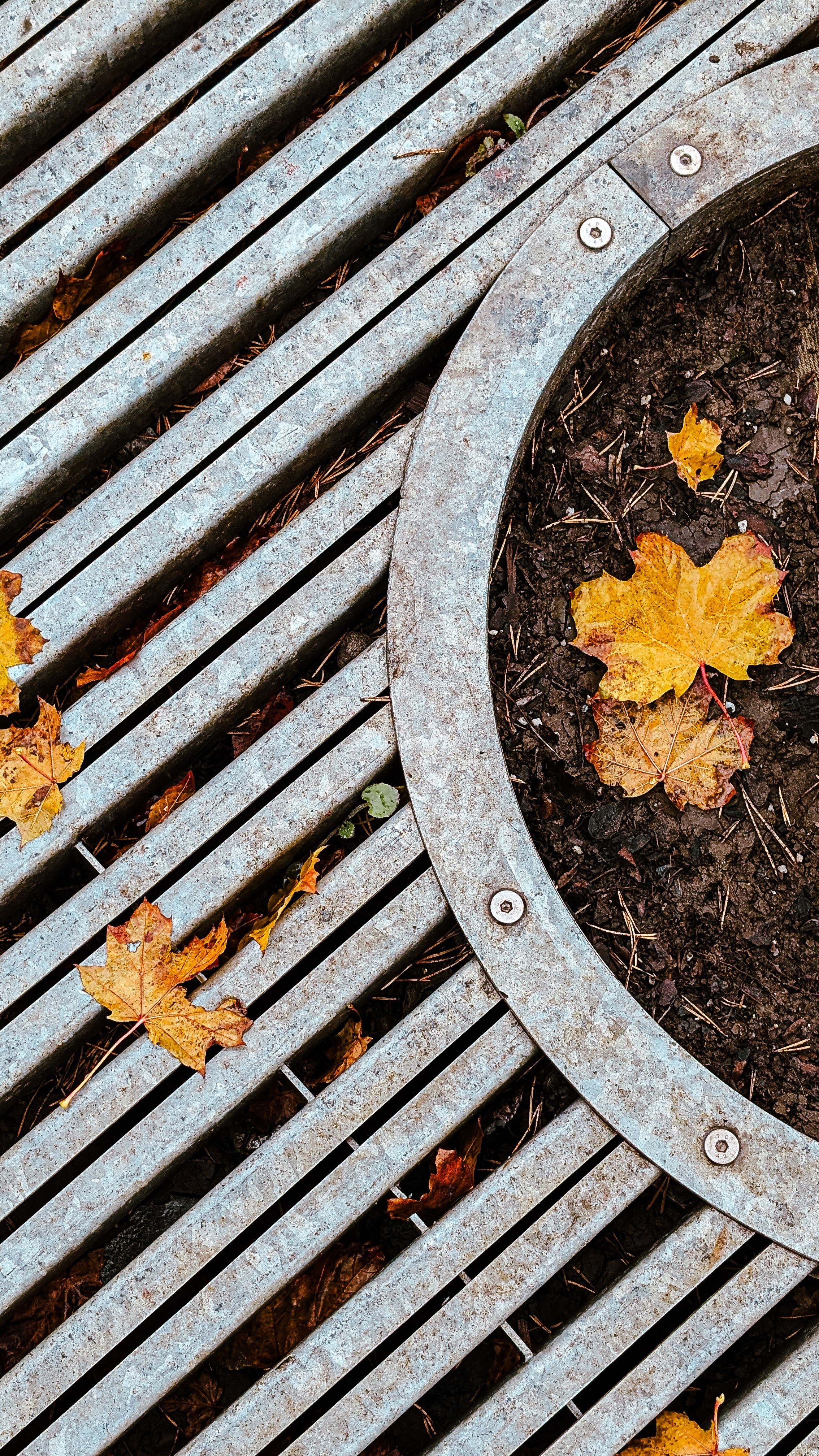 Мобильная фотография. Интерьерный и портретный фотограф в Москве Анна Моногарова