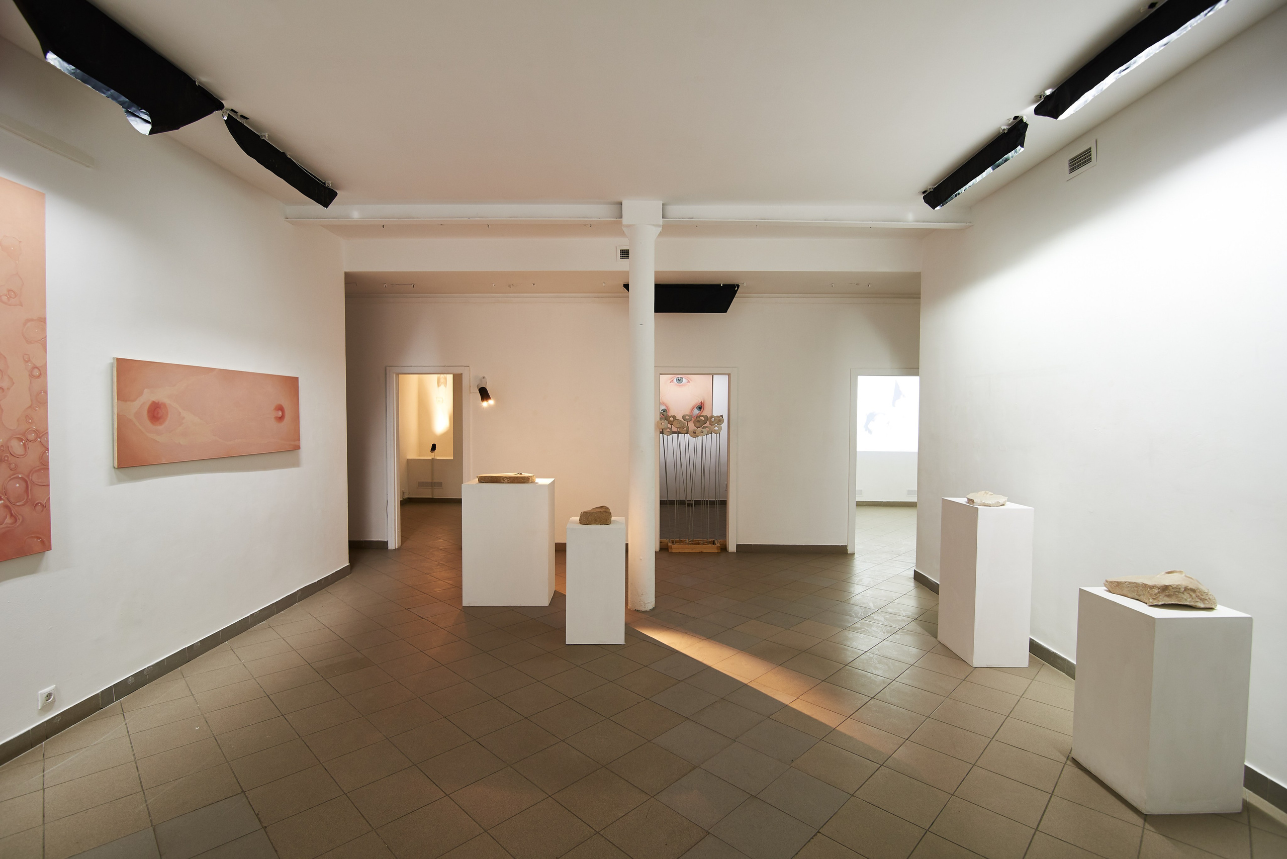 THE ALIENATED BODY. Ilmira Bolotyan — Interdisciplinary Artist and Curator