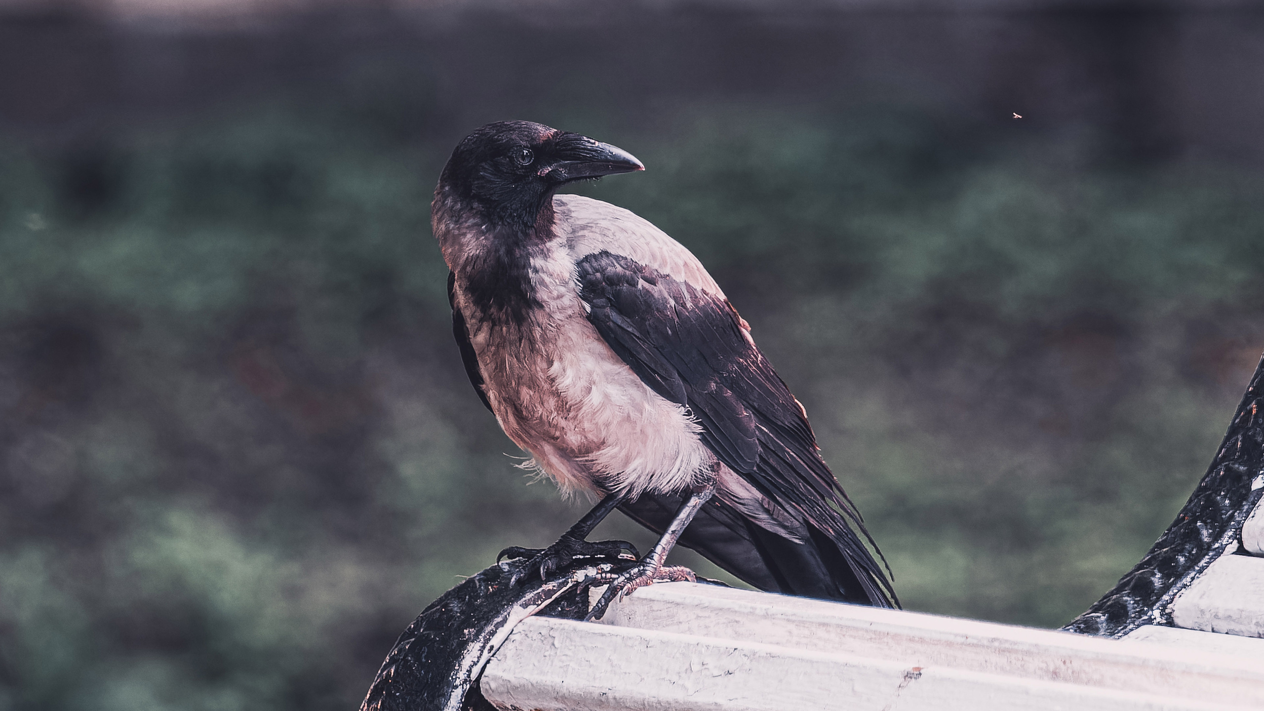 Андрей Васильев. Фотограф, Санкт-Петербург, Российская Федерация