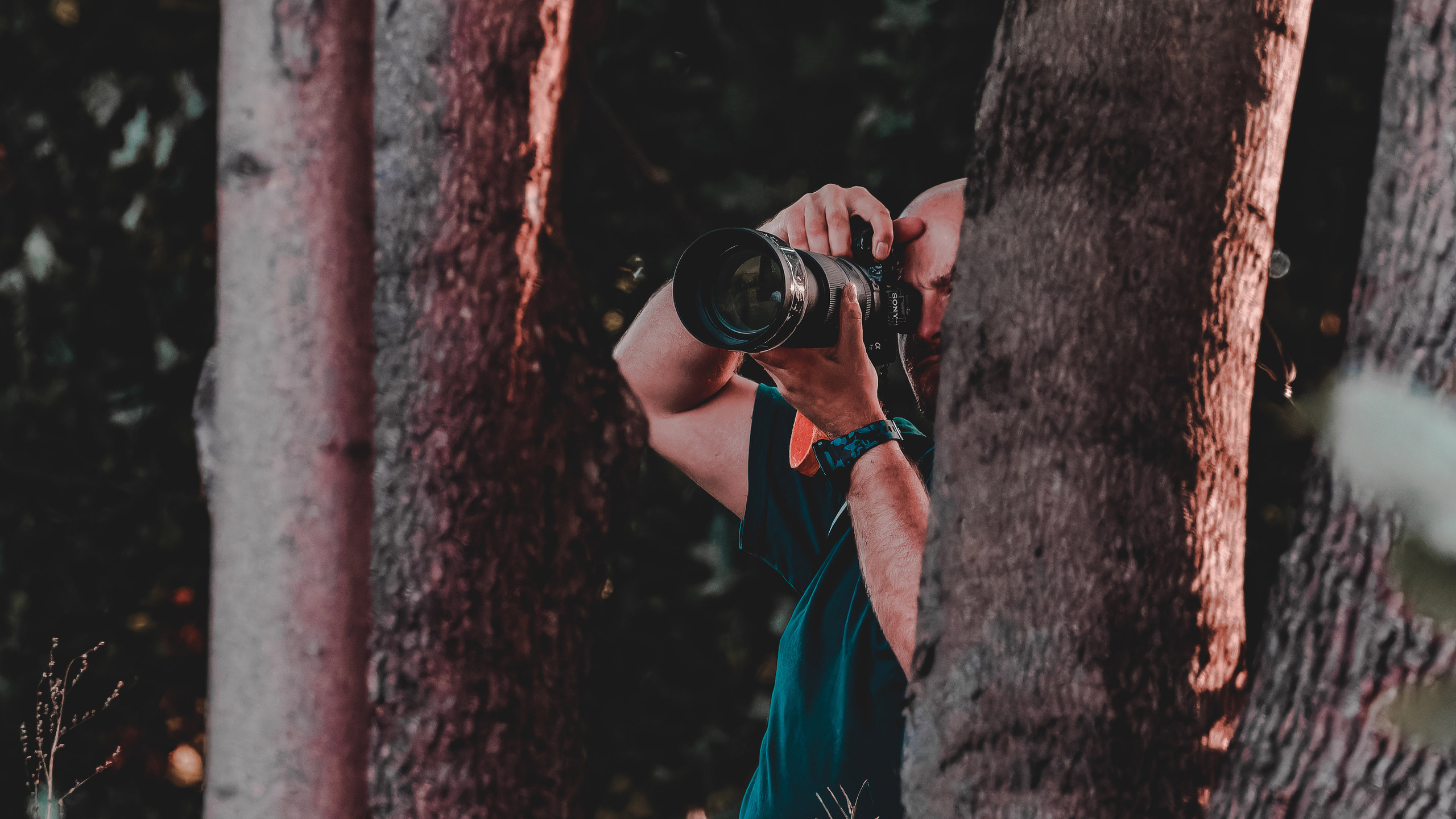 Андрей Васильев. Фотограф, Санкт-Петербург, Российская Федерация