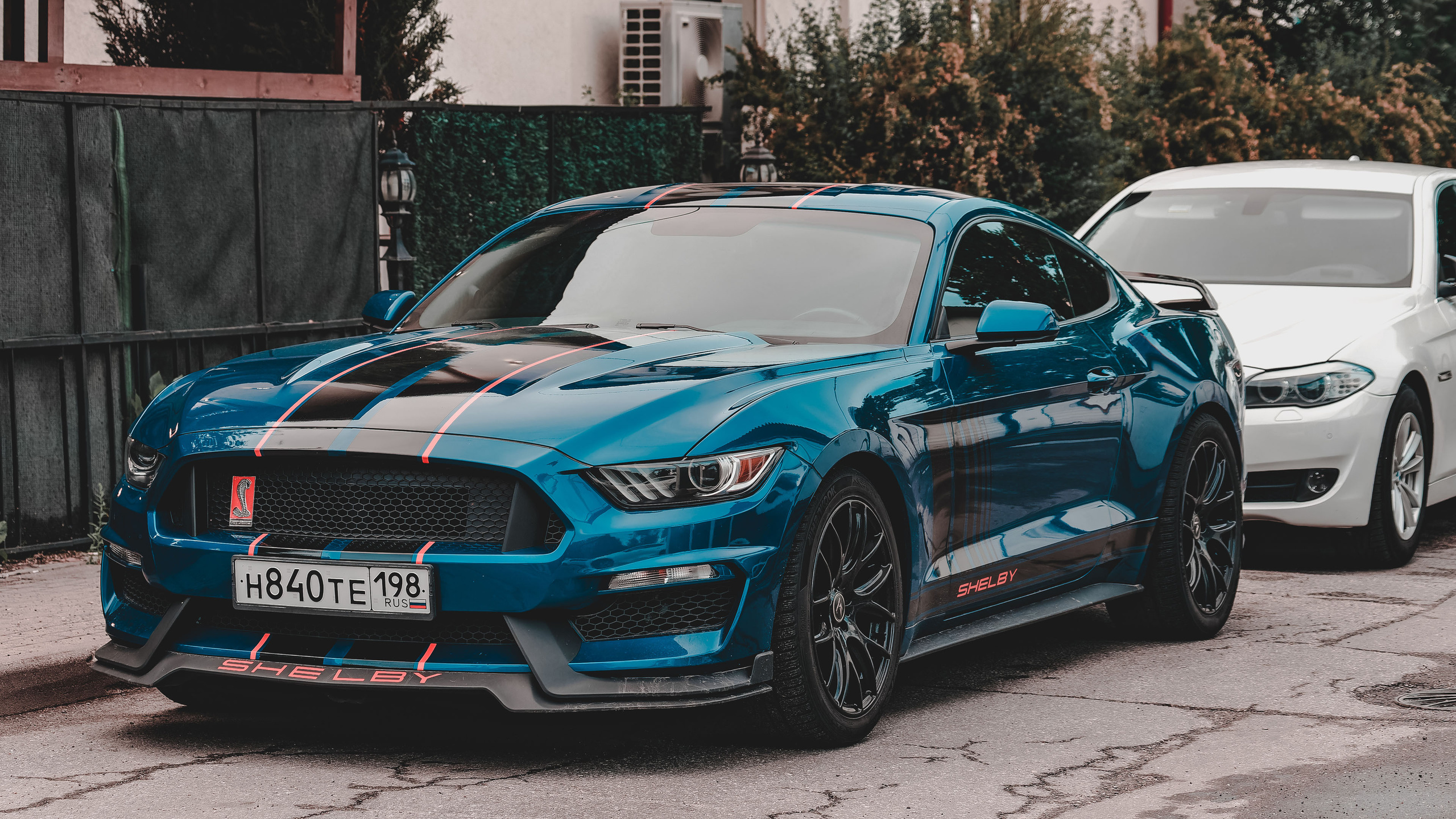 Андрей Васильев. Фотограф, Санкт-Петербург, Российская Федерация