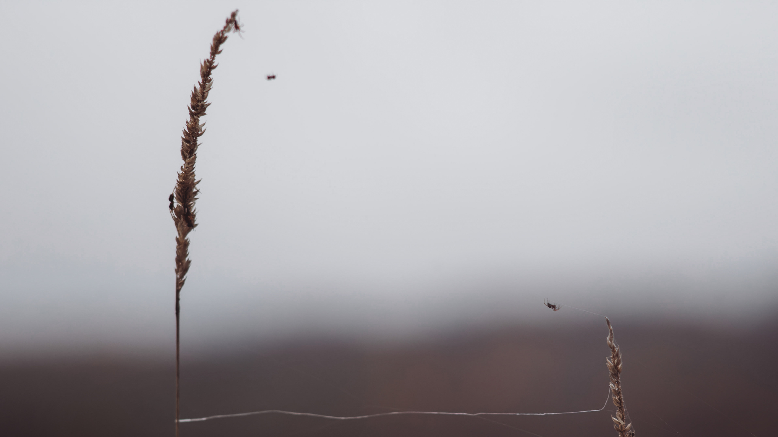 Андрей Васильев. Фотограф, Санкт-Петербург, Российская Федерация