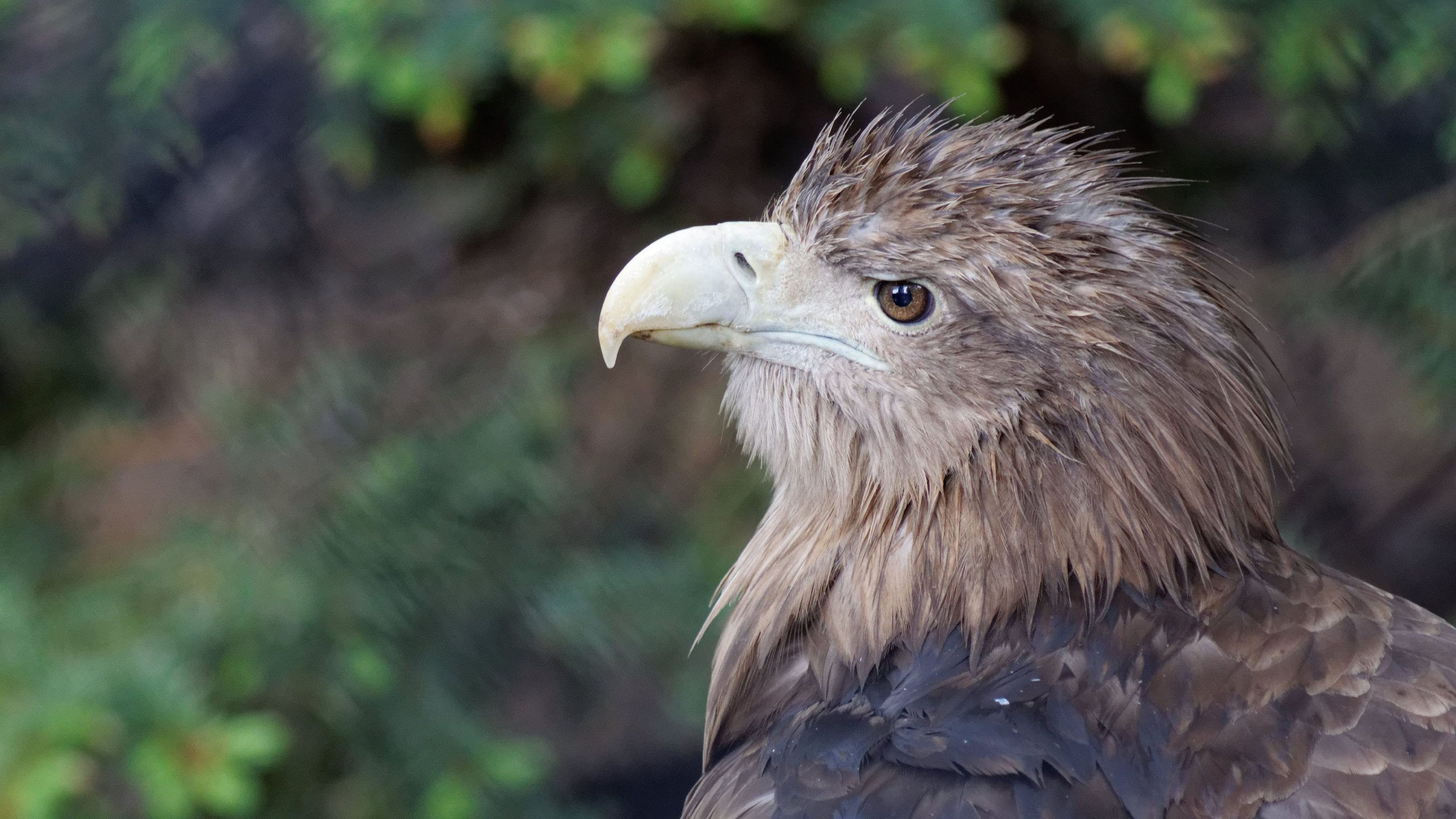 Андрей Васильев. Фотограф, Санкт-Петербург, Российская Федерация