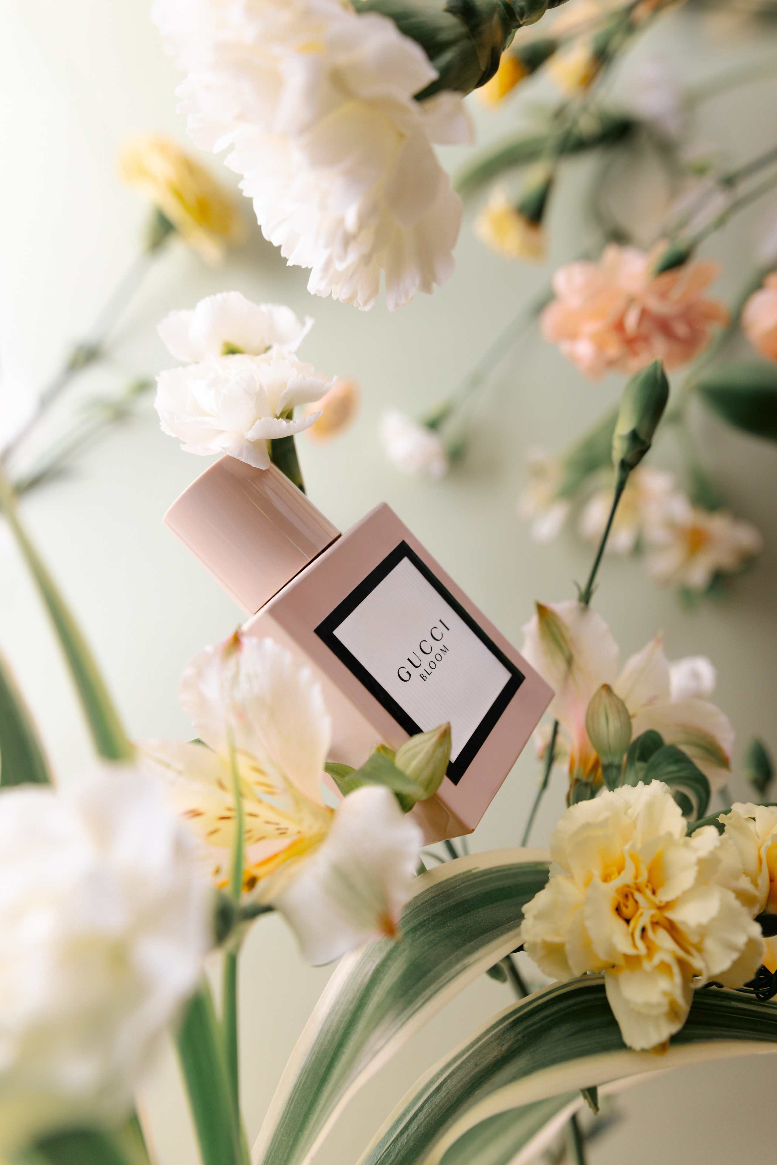 Предметная съемка левитации товара. СЕМЕЙНЫЙ И ПРЕДМЕТНЫЙ ФОТОГРАФ — ЛЕНА ГОНЧАР | КРАСНОДАР | МАЙКОП