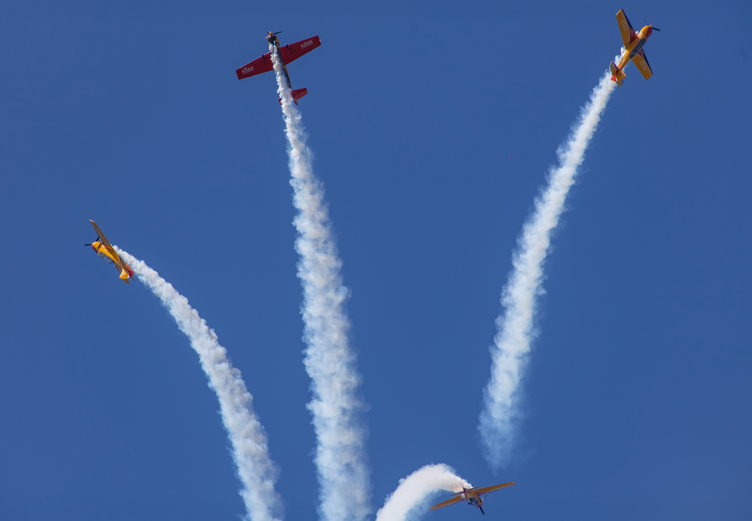 Крылья Пармы 2025 г. KATERINA VINOKUROVA ФОТОГРАФ ПЕРМЬ