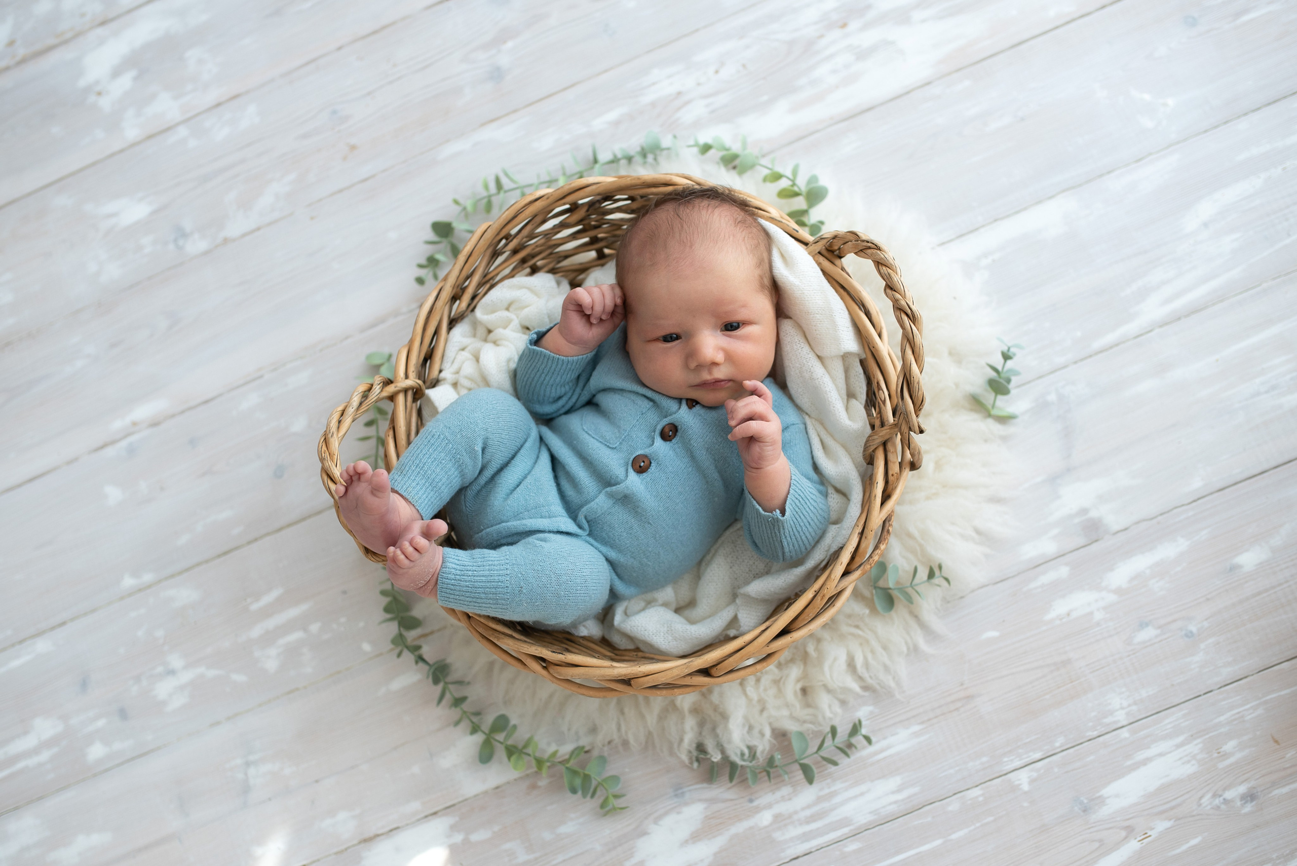 Новорожденные. Фотограф Мария Усманова, Казань