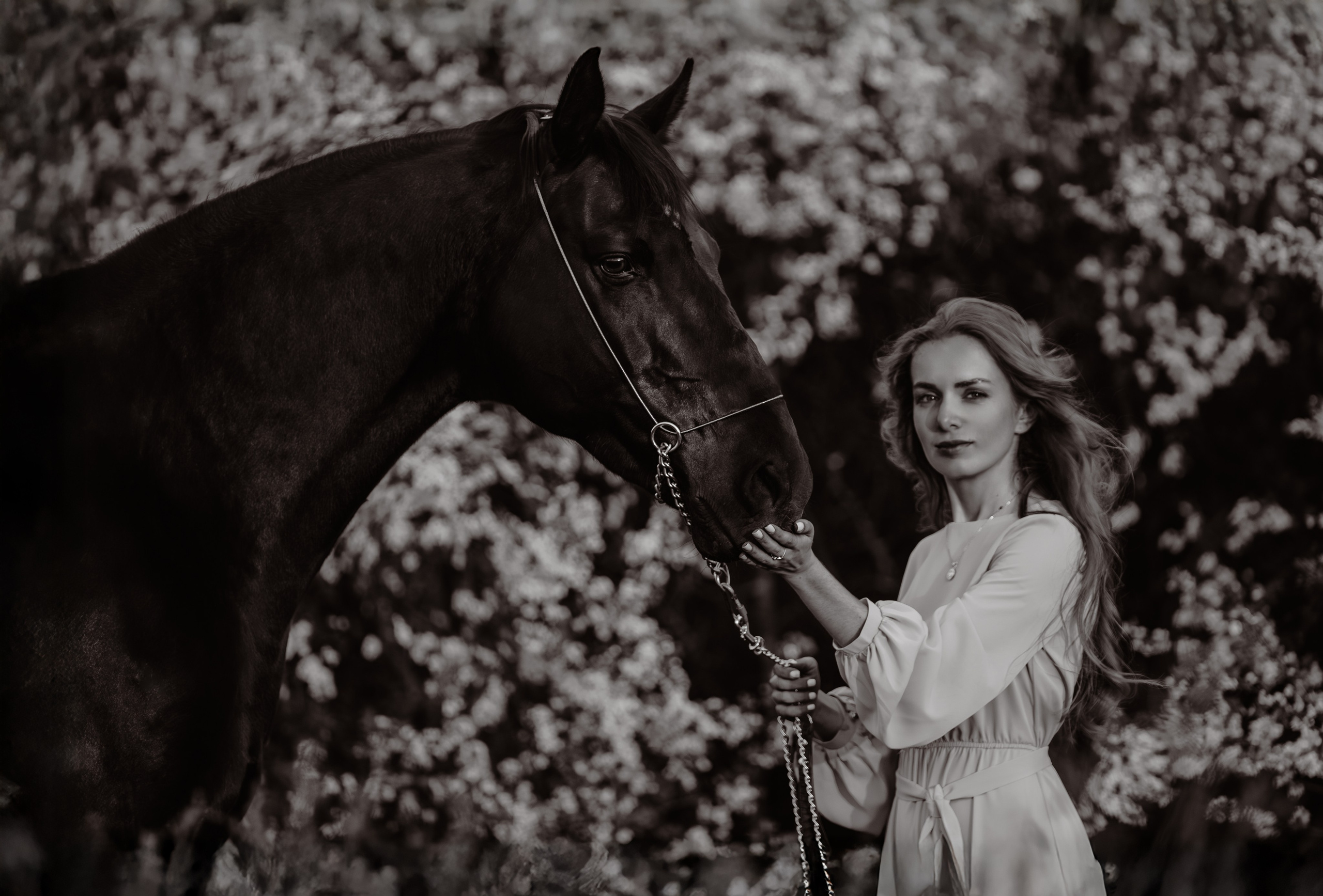 Вероника и Брэй. Фотограф-анималист Ксендзова Кристина