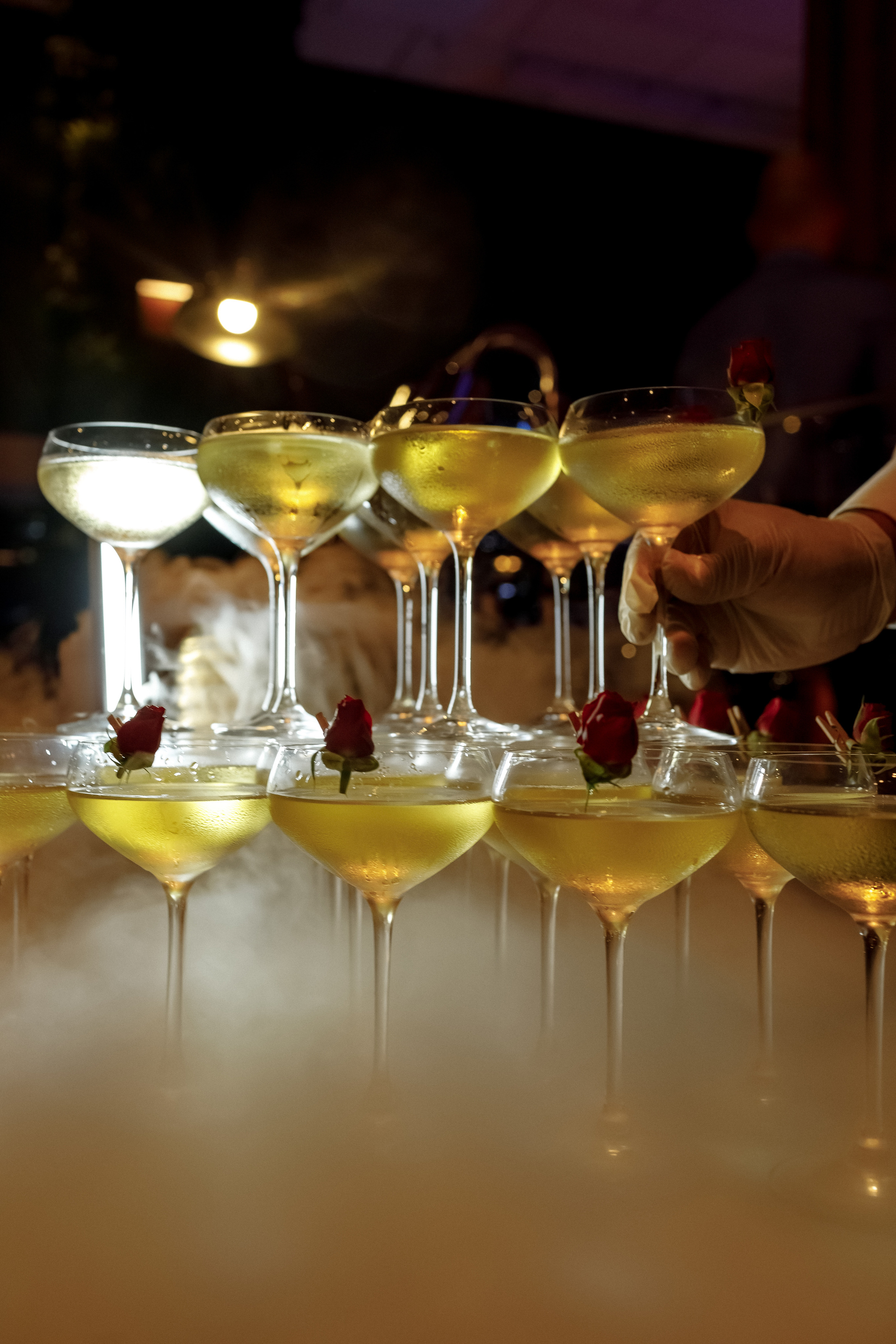 Ужин в st.TROP. Портретный фотограф в Санкт-Петербурге Саша Гореликова