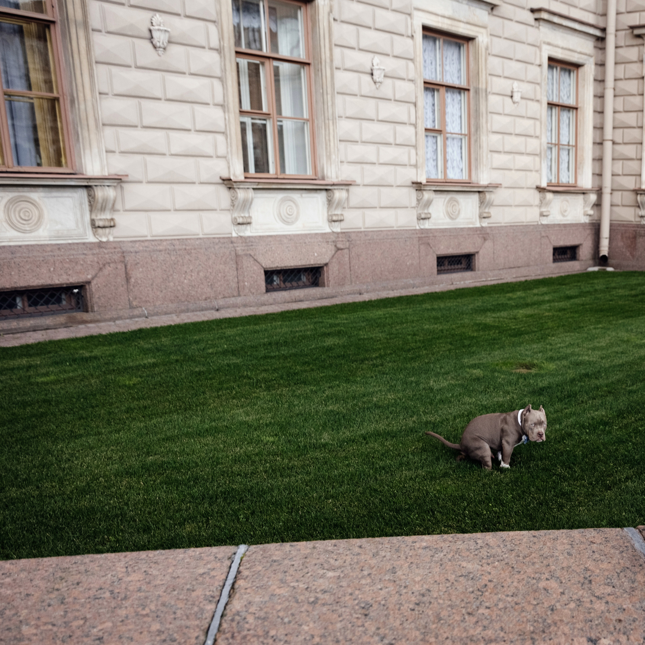 Дмитрий & Мария. Портретный фотограф в Санкт-Петербурге Саша Гореликова