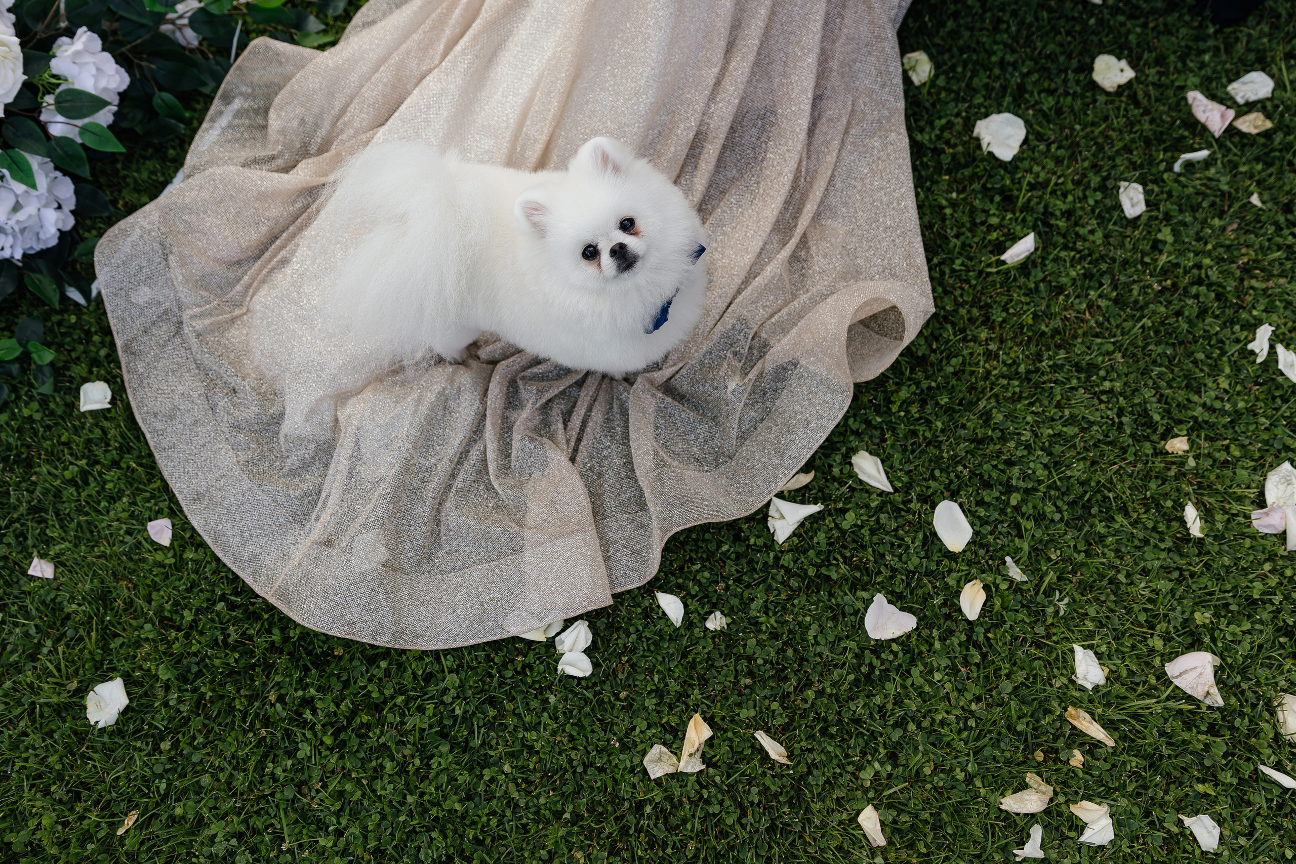 Портретный фотограф в Санкт-Петербурге Саша Гореликова