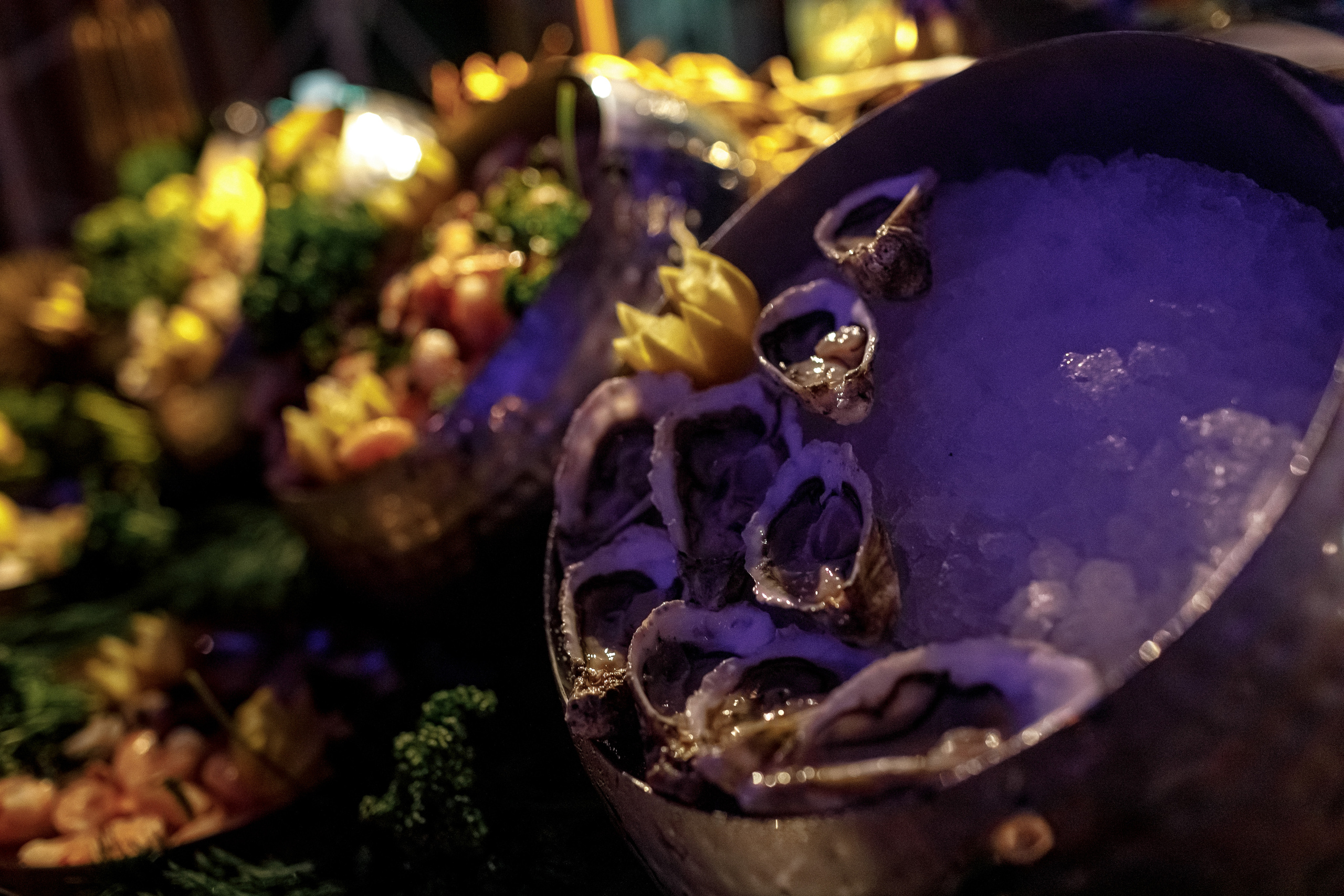 Ужин в st.TROP. Портретный фотограф в Санкт-Петербурге Саша Гореликова