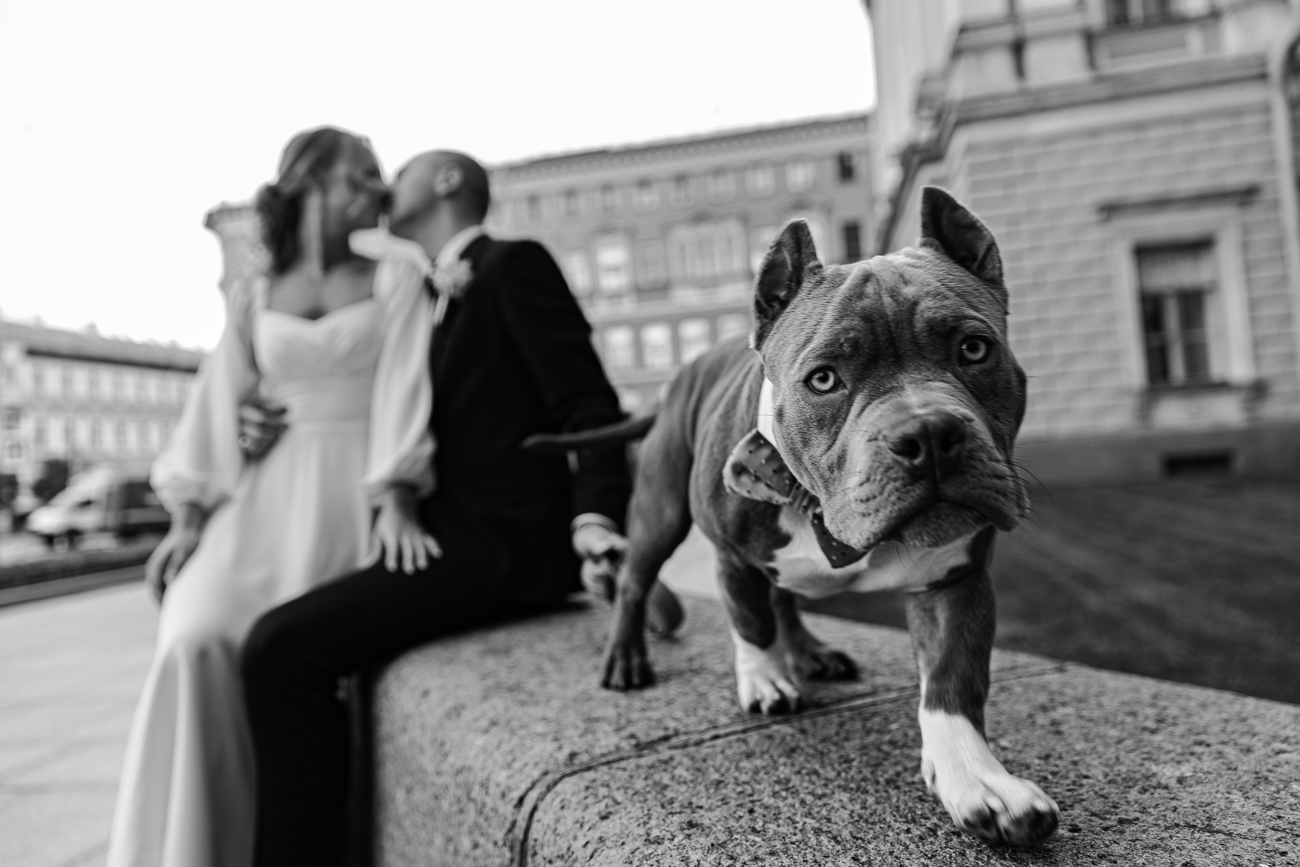 Дмитрий & Мария. Портретный фотограф в Санкт-Петербурге Саша Гореликова