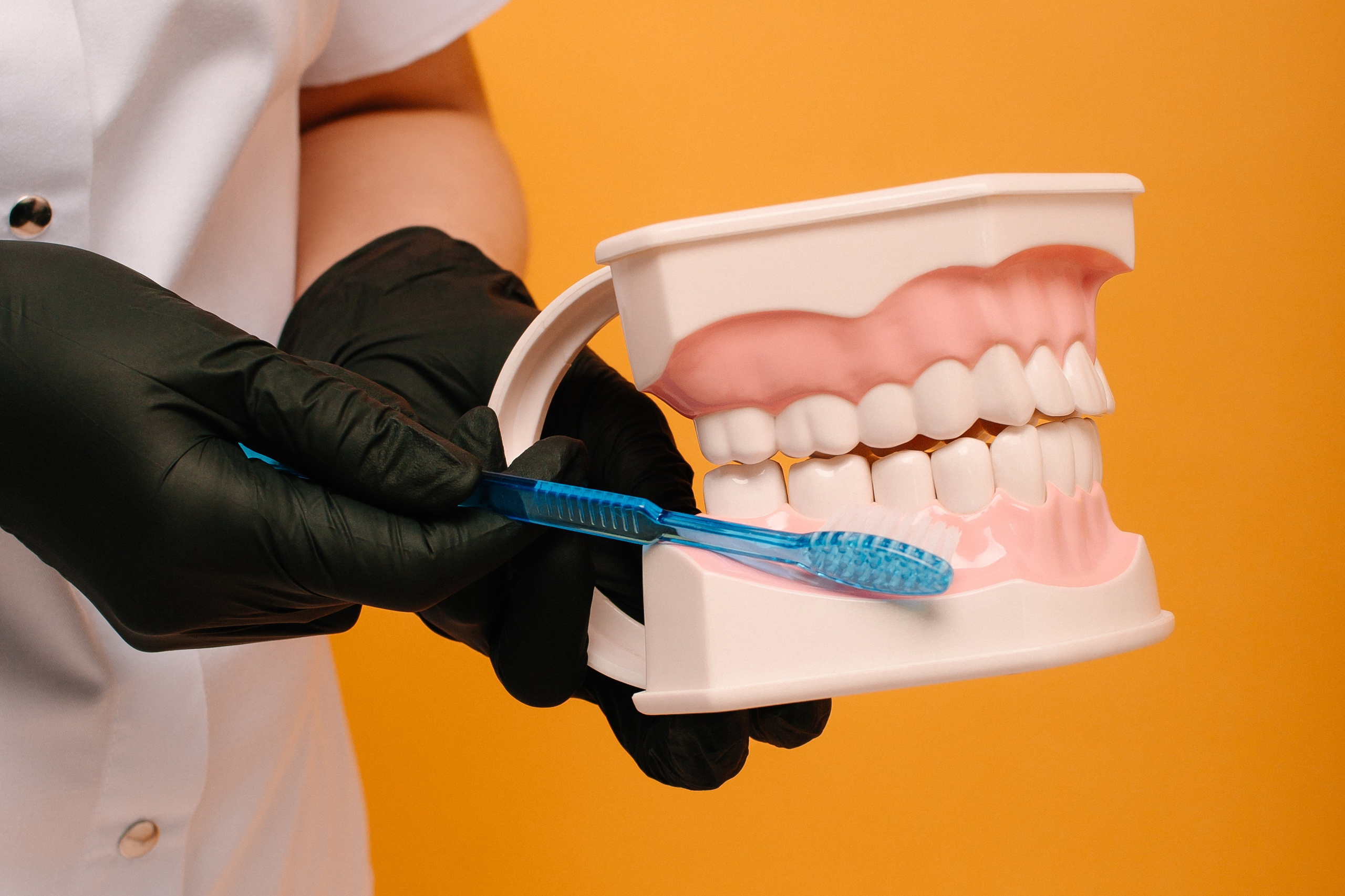 Стоматология Эталон. Фотограф в Челябинске Любовь Денисенко