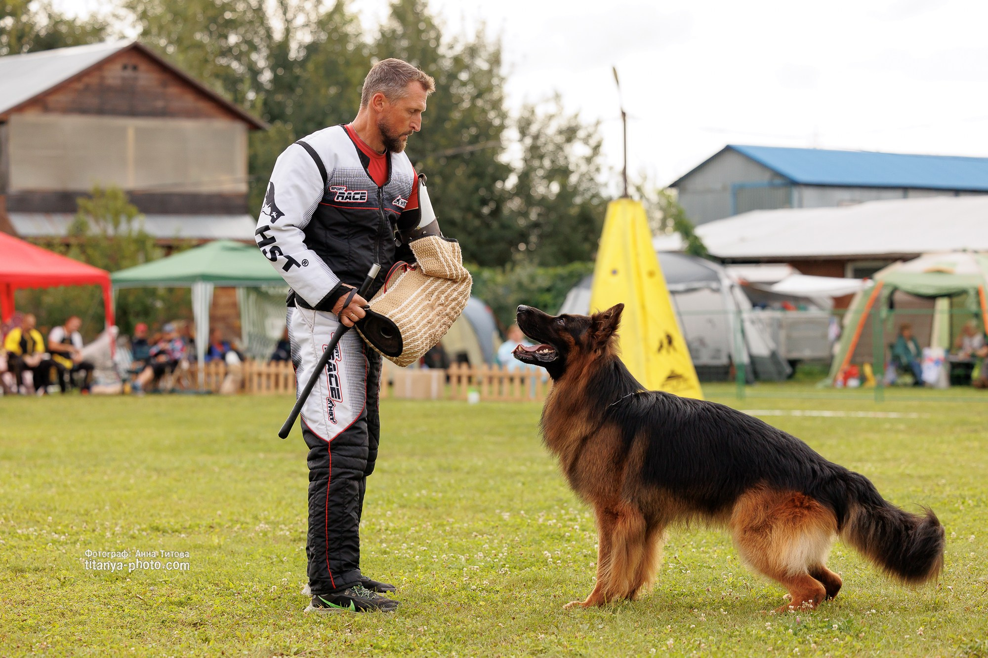 Немецкие овчарки: фото из рингов и вне ринга, мутпроба (фотографии с выставок). Фотограф собак, фотограф-анималист Аня Титова (Titanya). Москва