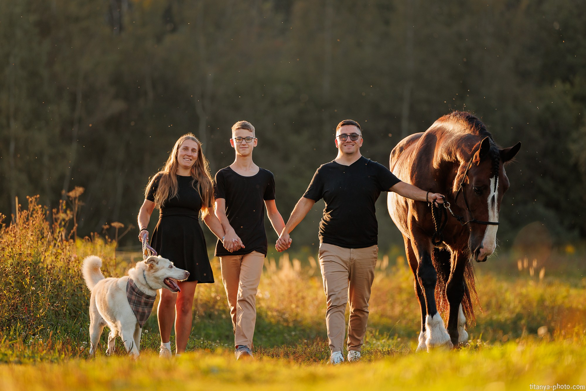 Закатная семейная фотосессия: про Настю и её дружную семью. Фотограф собак, фотограф-анималист Аня Титова (Titanya). Москва