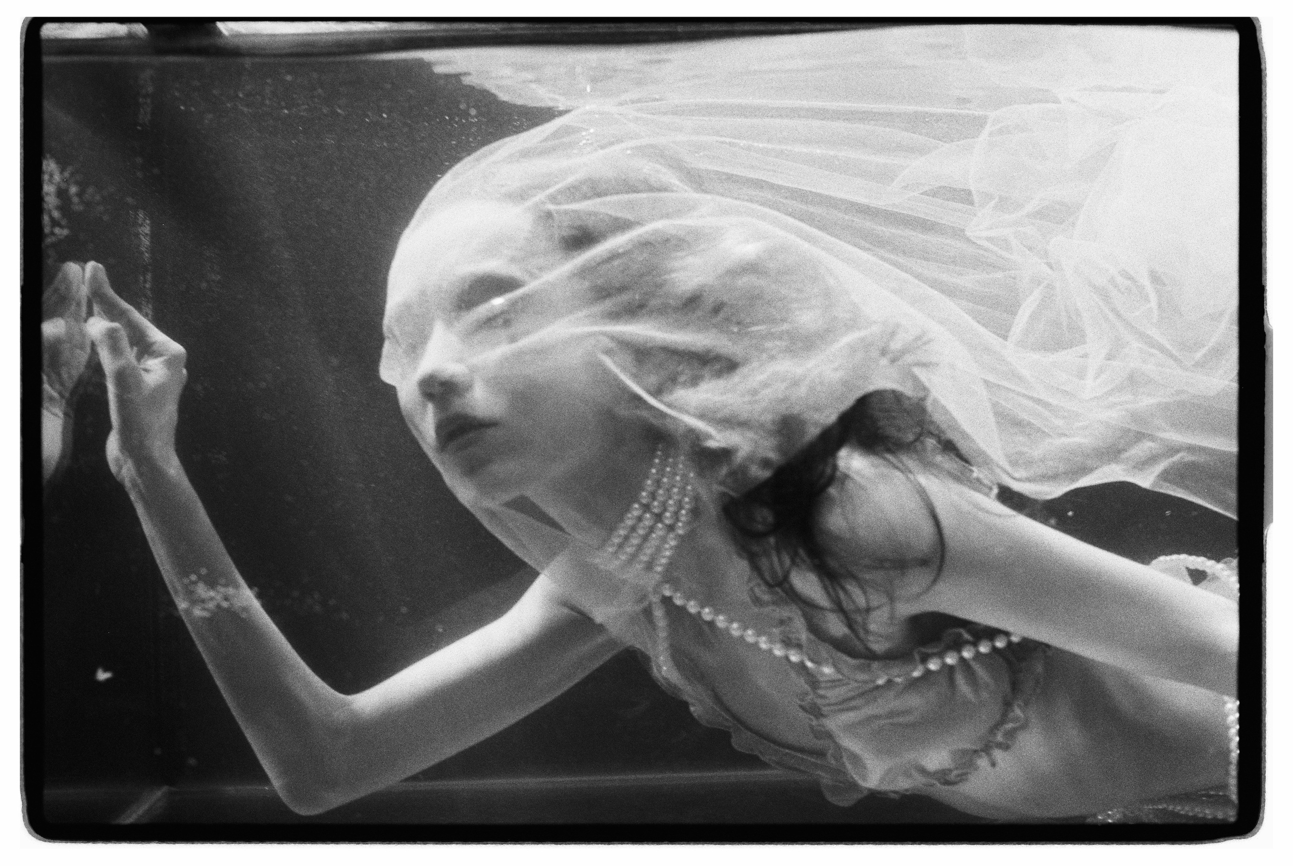 Swimming Beauty. Фотограф Александр Медведев