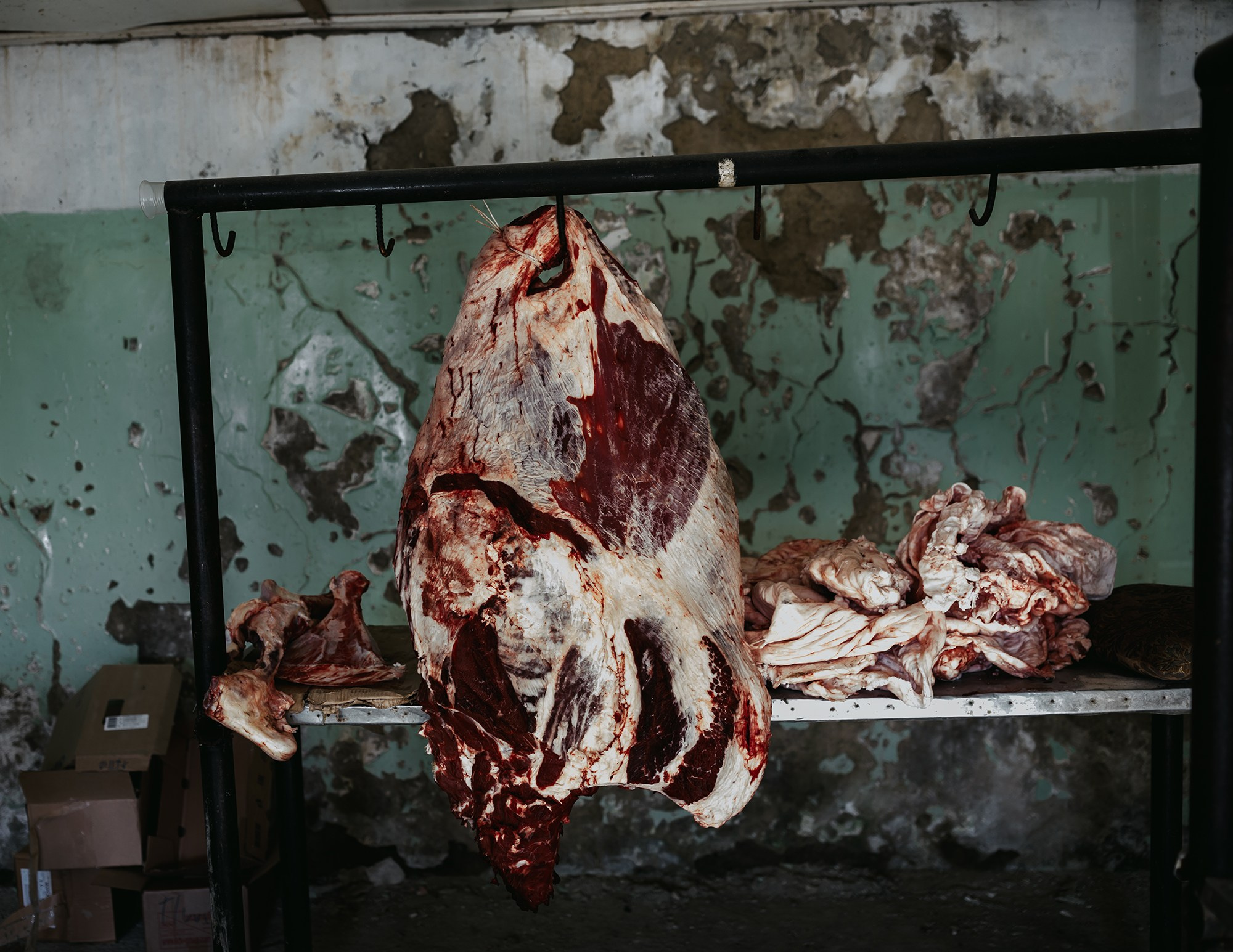 Dagestan. Seasons. Autumn. Documentary and art photographer Alexey Terentyev