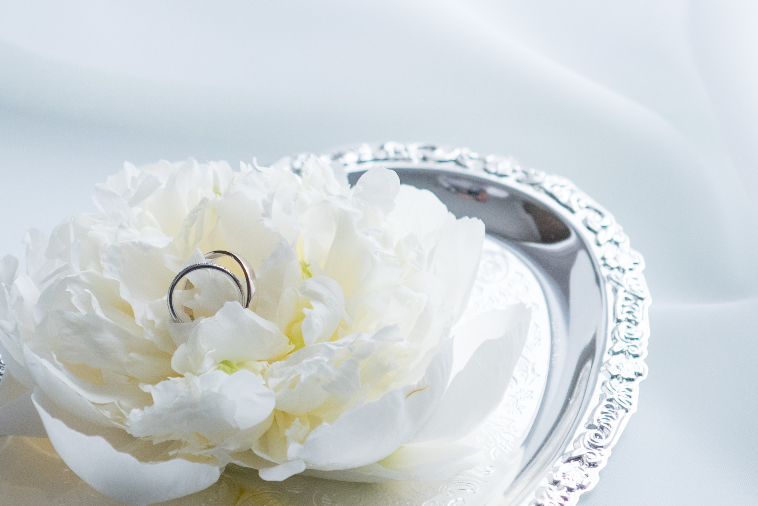 Свадебная фотосессия. (1) Свадебный фотограф в Москве Роман Август