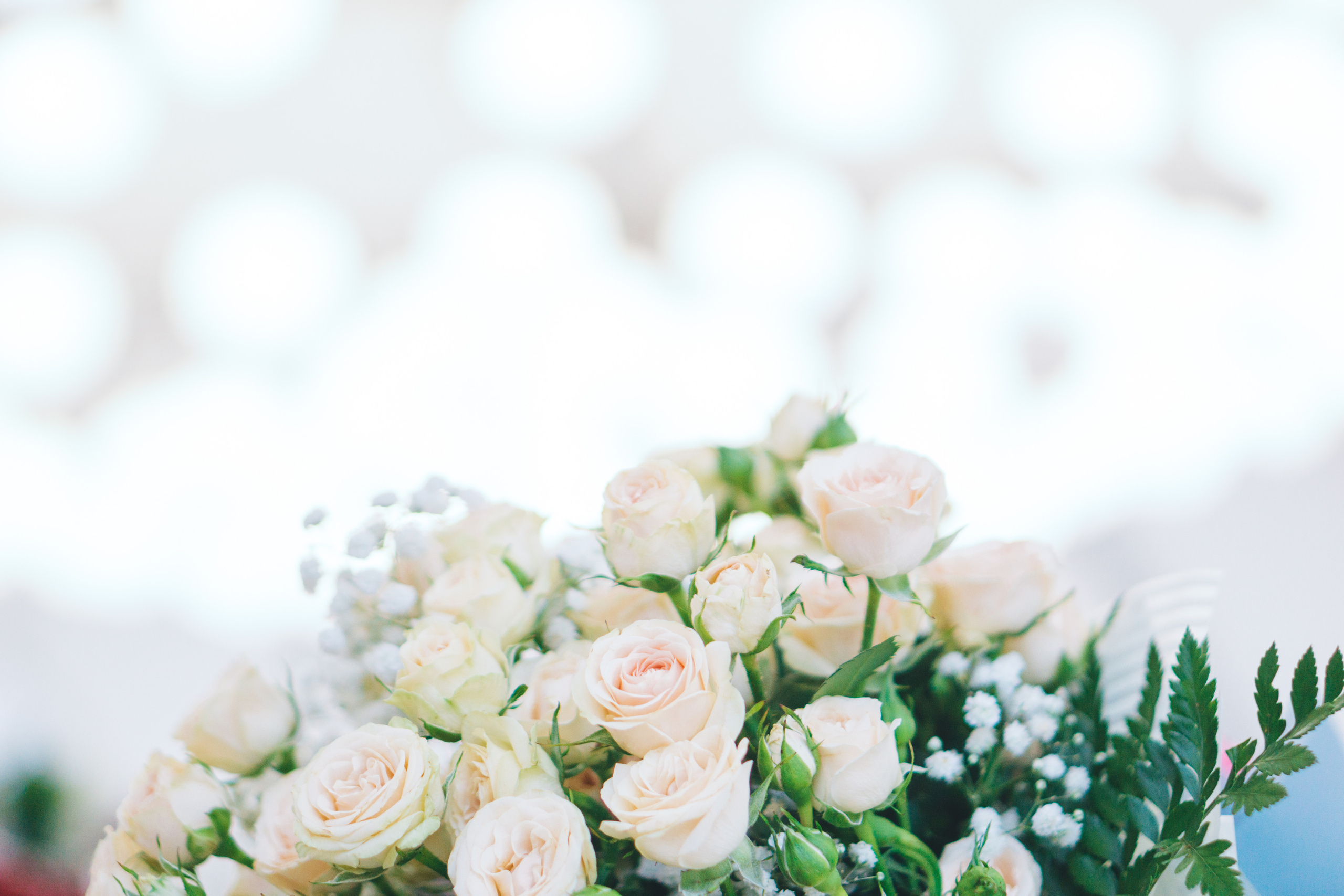 ◦ Роман Анастасия ◦. Фотограф