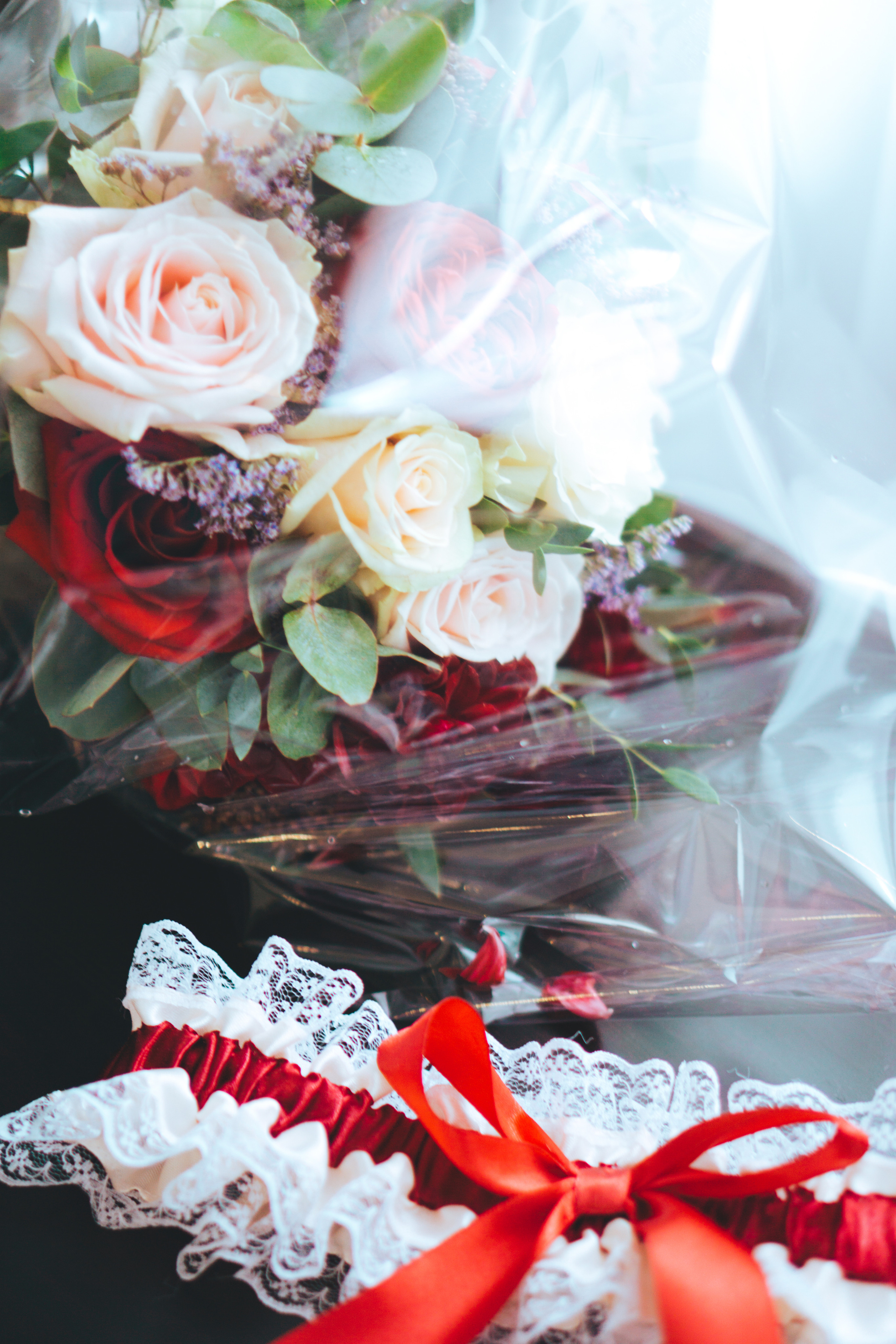 ◦ Роман Анастасия ◦. Фотограф